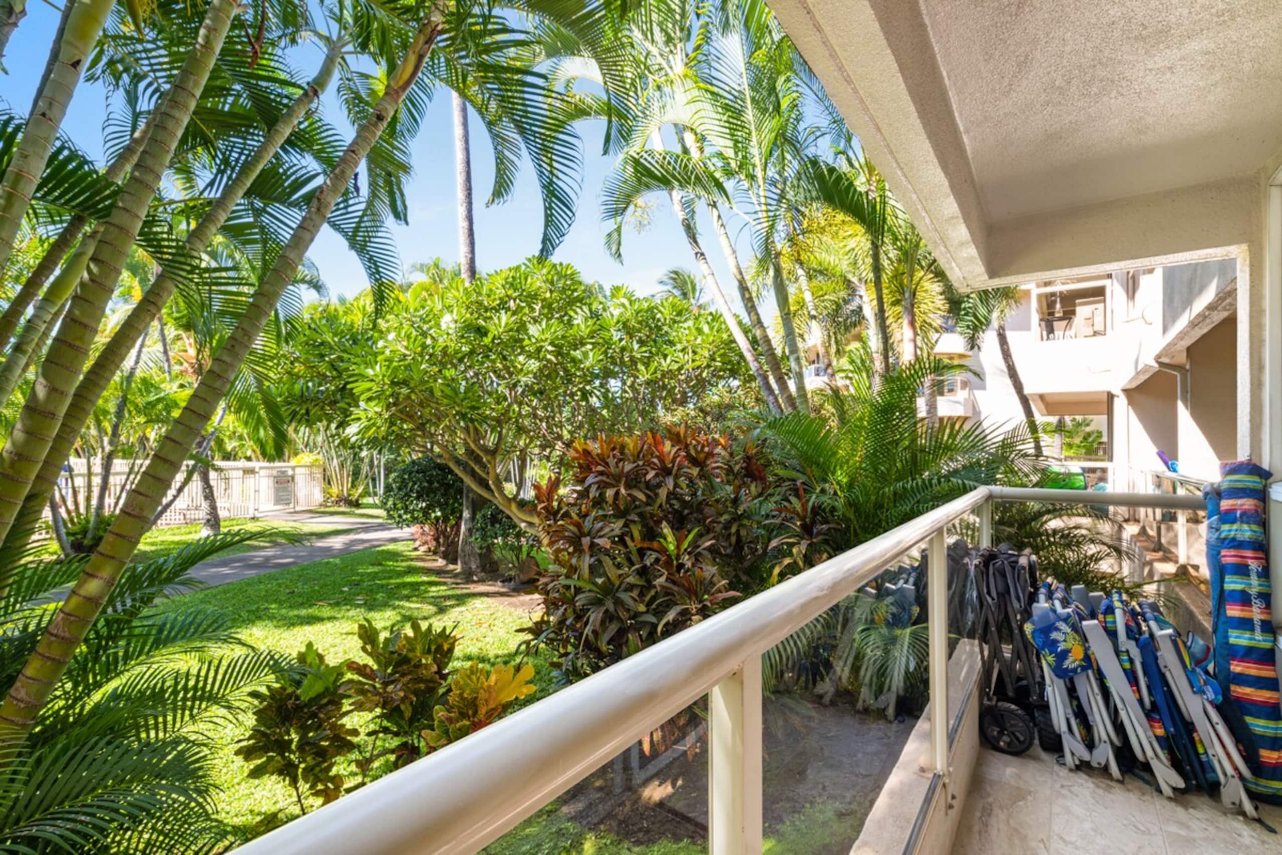 Maui Banyan 1 Bd/1BA in best South Kihei location - Photo 7