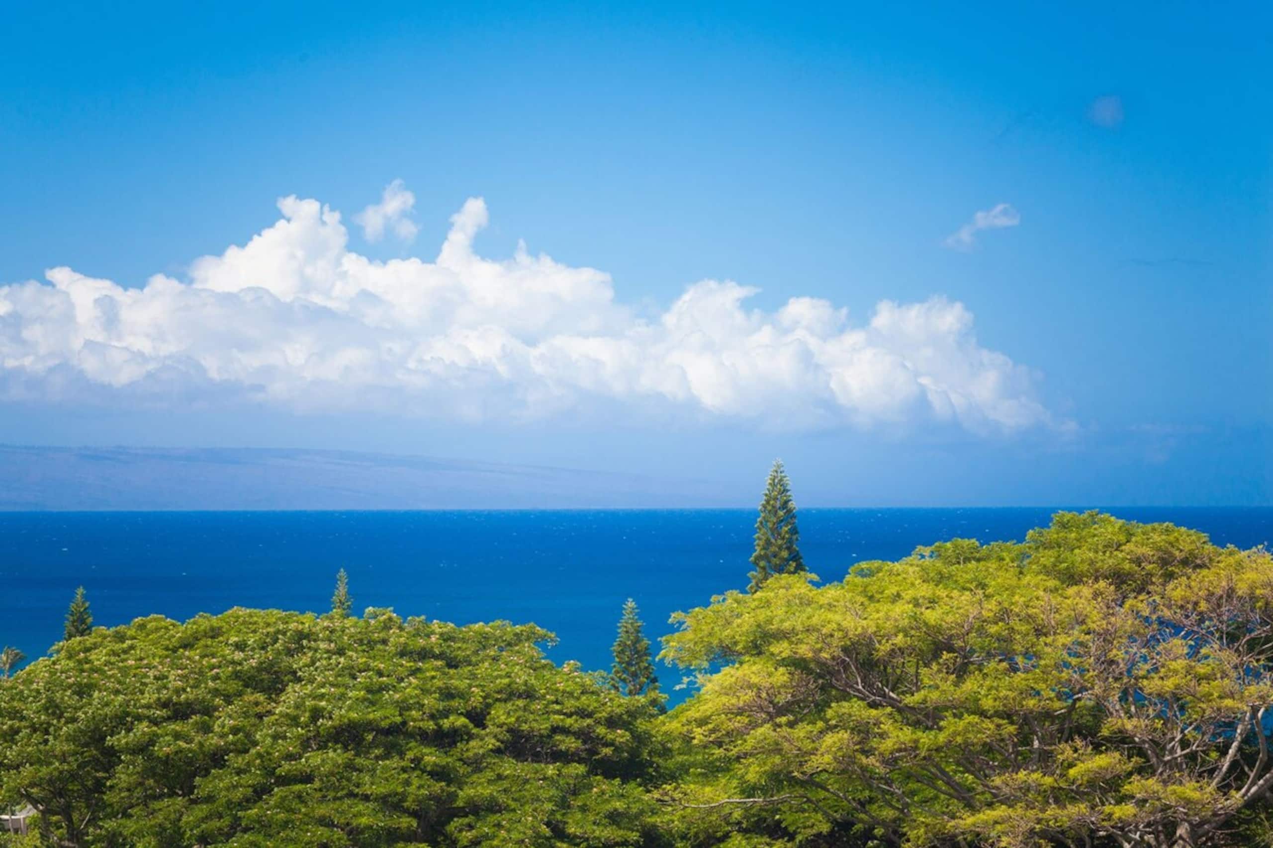 Ridge 2711 Panoramic Ocean, Island & Sunset Views - Photo 30