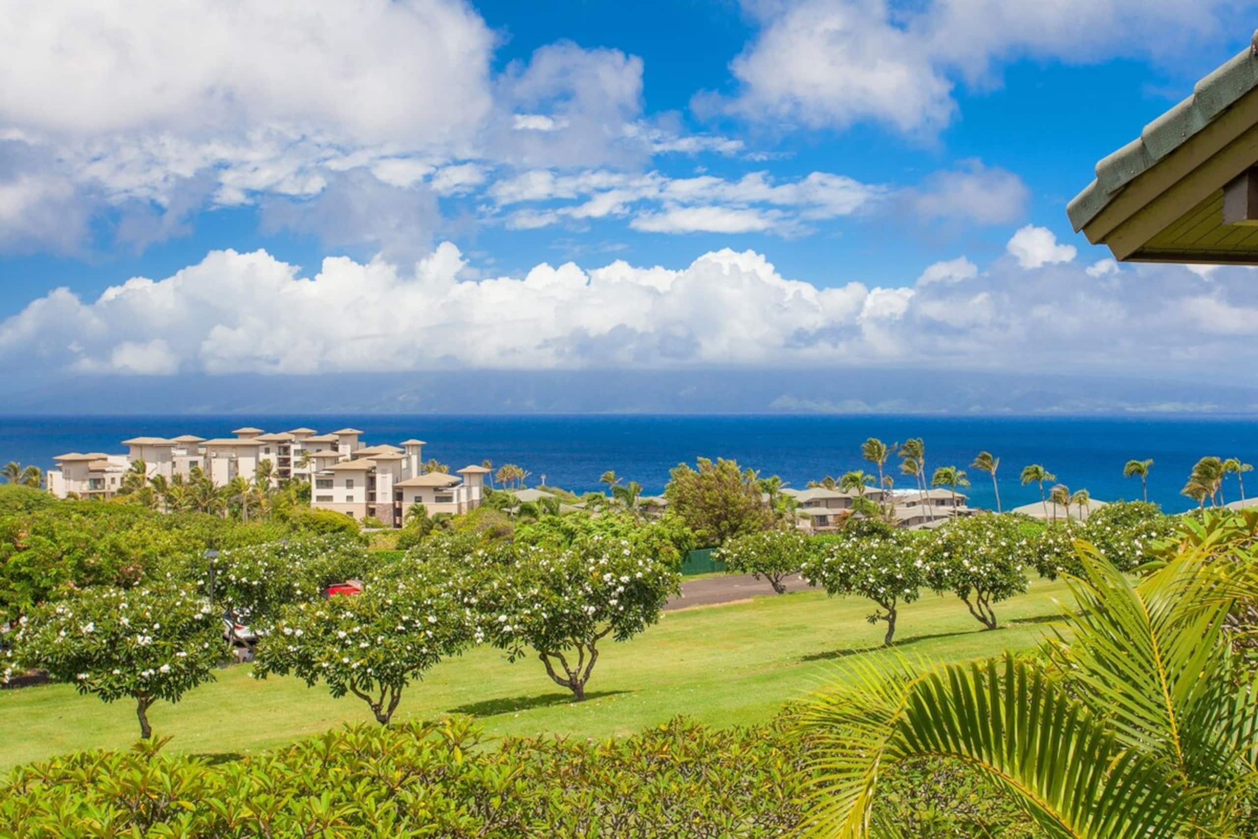 Ridge 2711 Panoramic Ocean, Island & Sunset Views - Photo 29