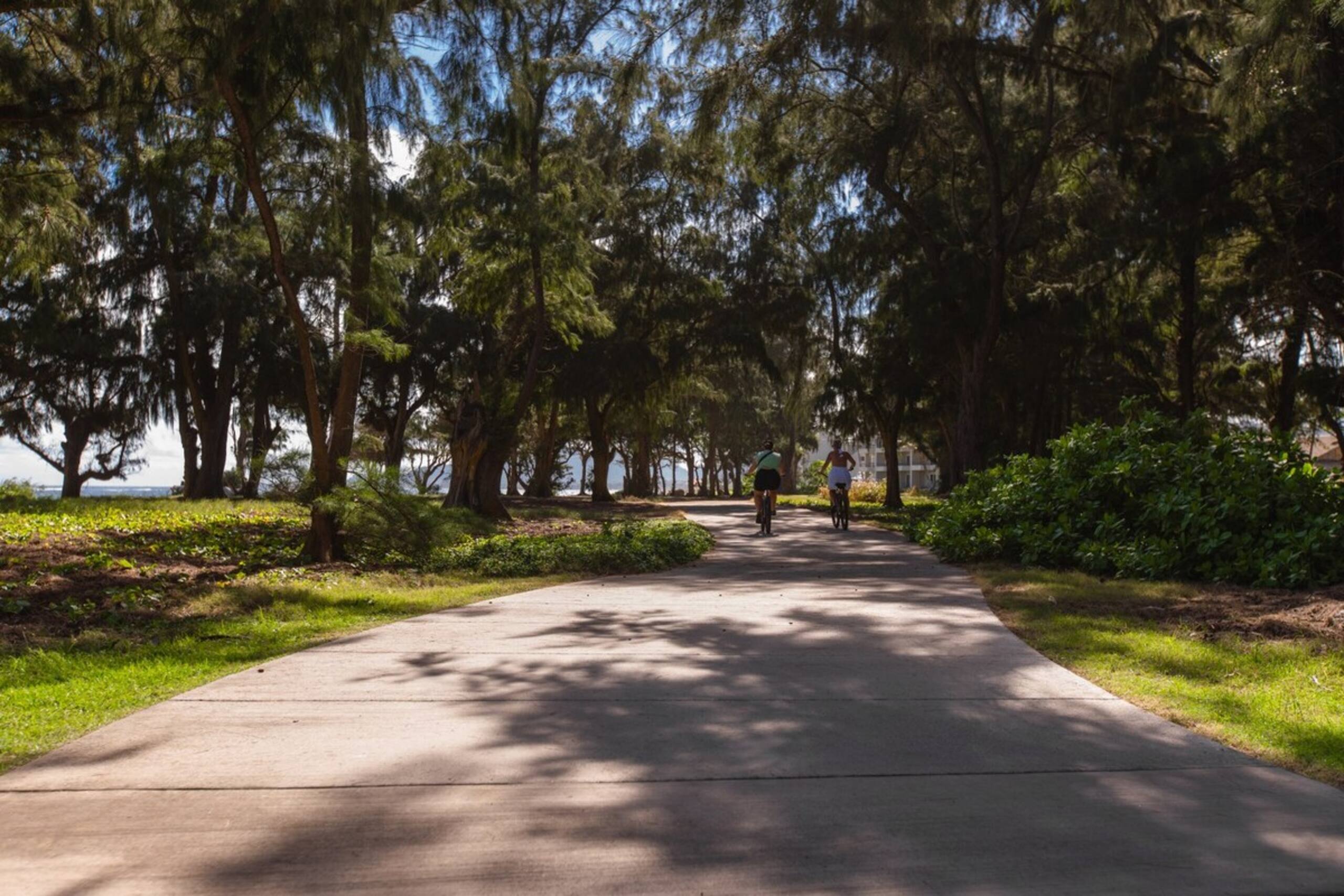 Village Manor E21, Walk to Kapaa Town and Beaches - Photo 34