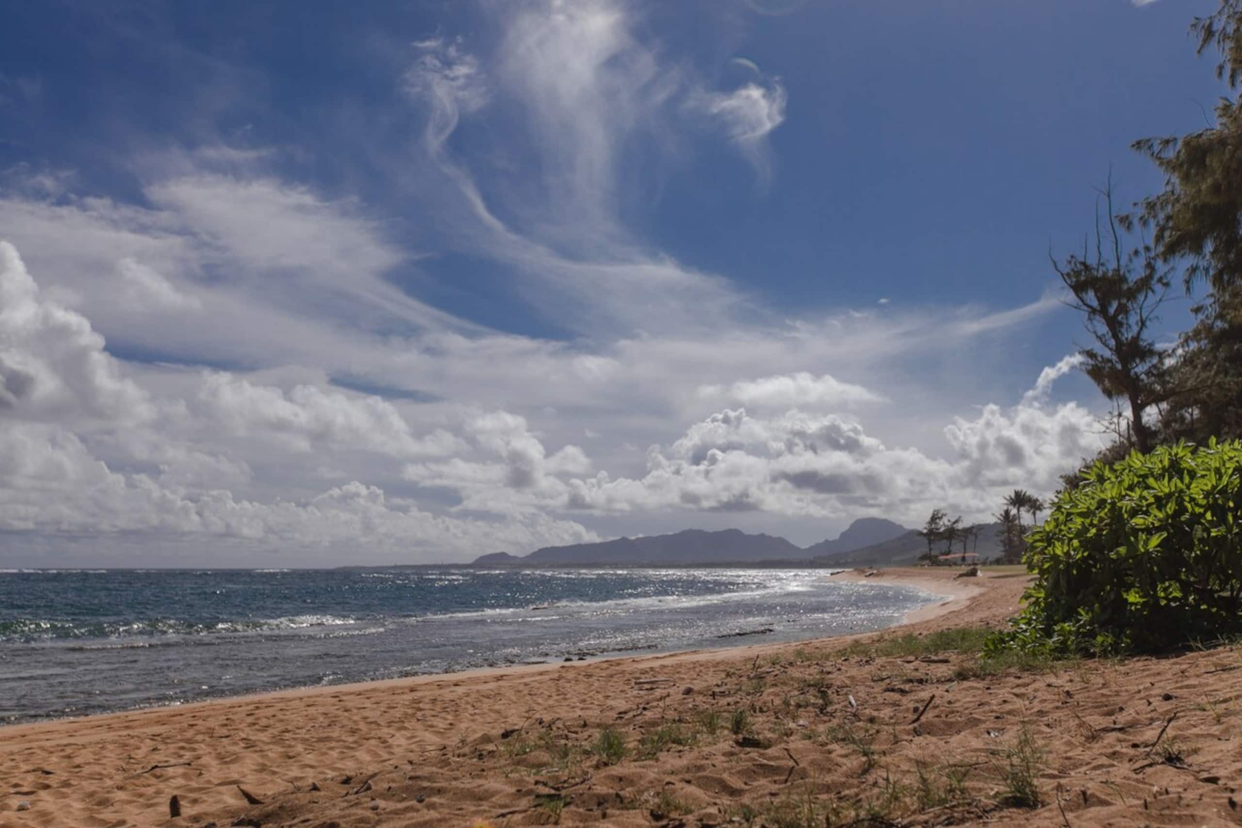 Village Manor E21, Walk to Kapaa Town and Beaches - Photo 39