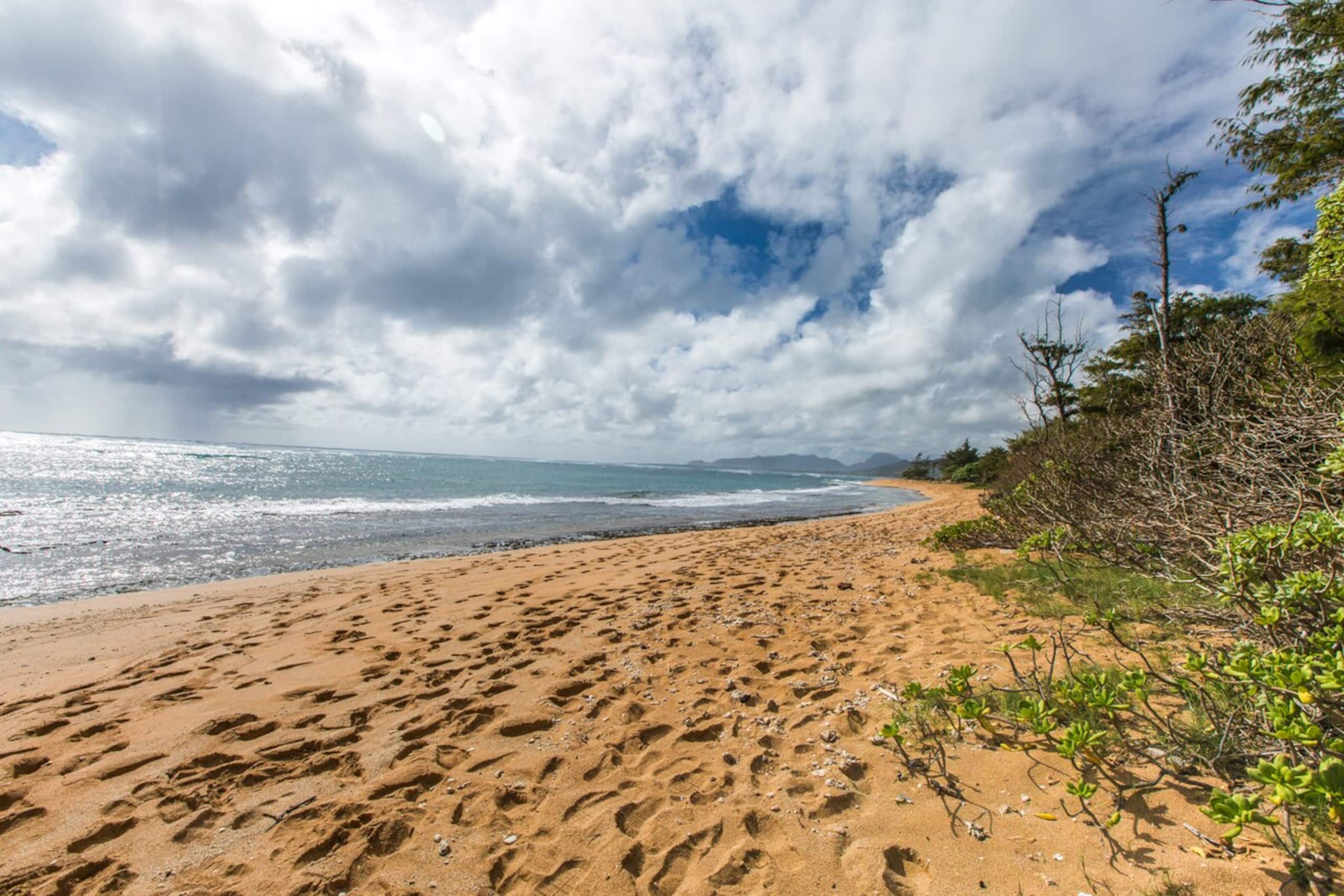 Village Manor E21, Walk to Kapaa Town and Beaches - Photo 32