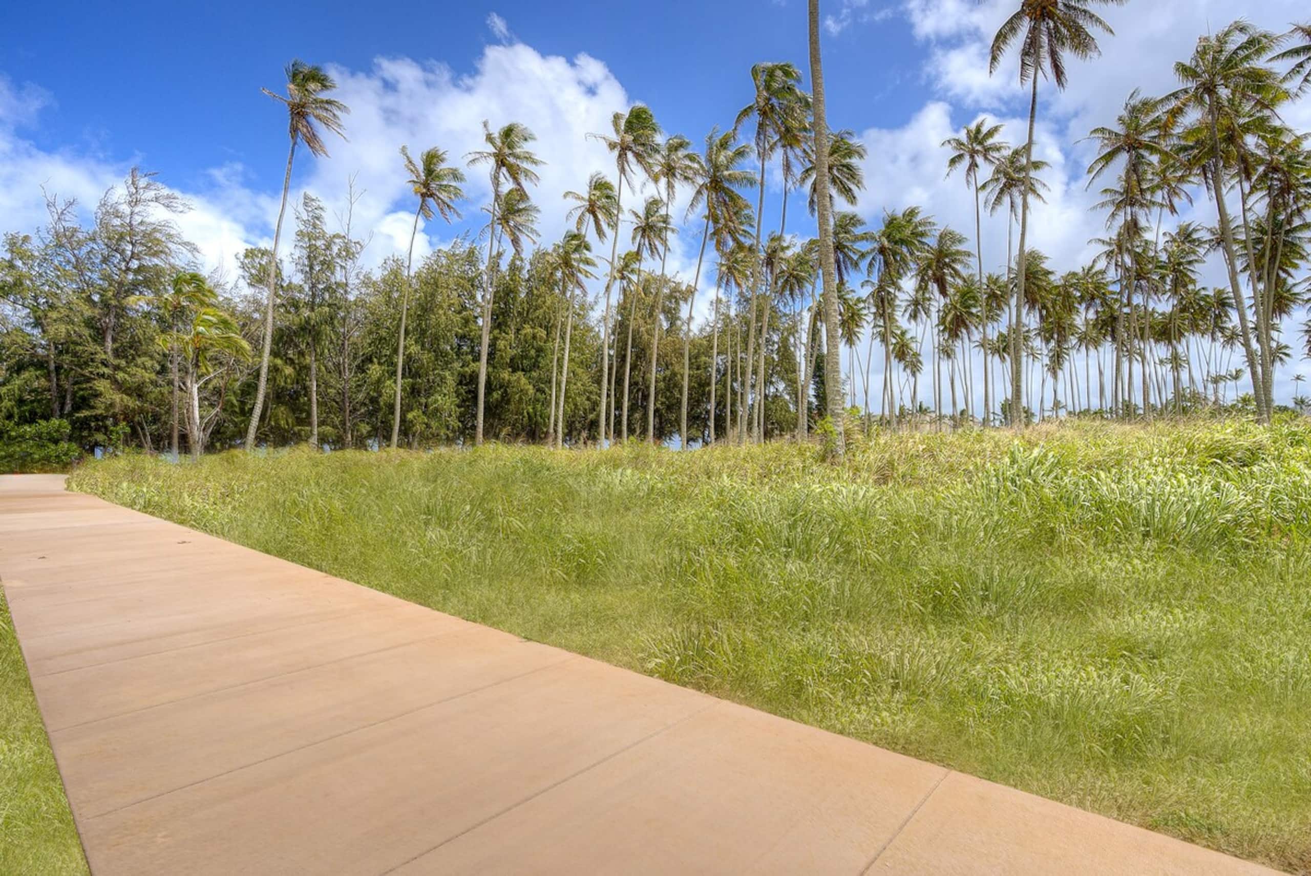 Village Manor E21, Walk to Kapaa Town and Beaches - Photo 26