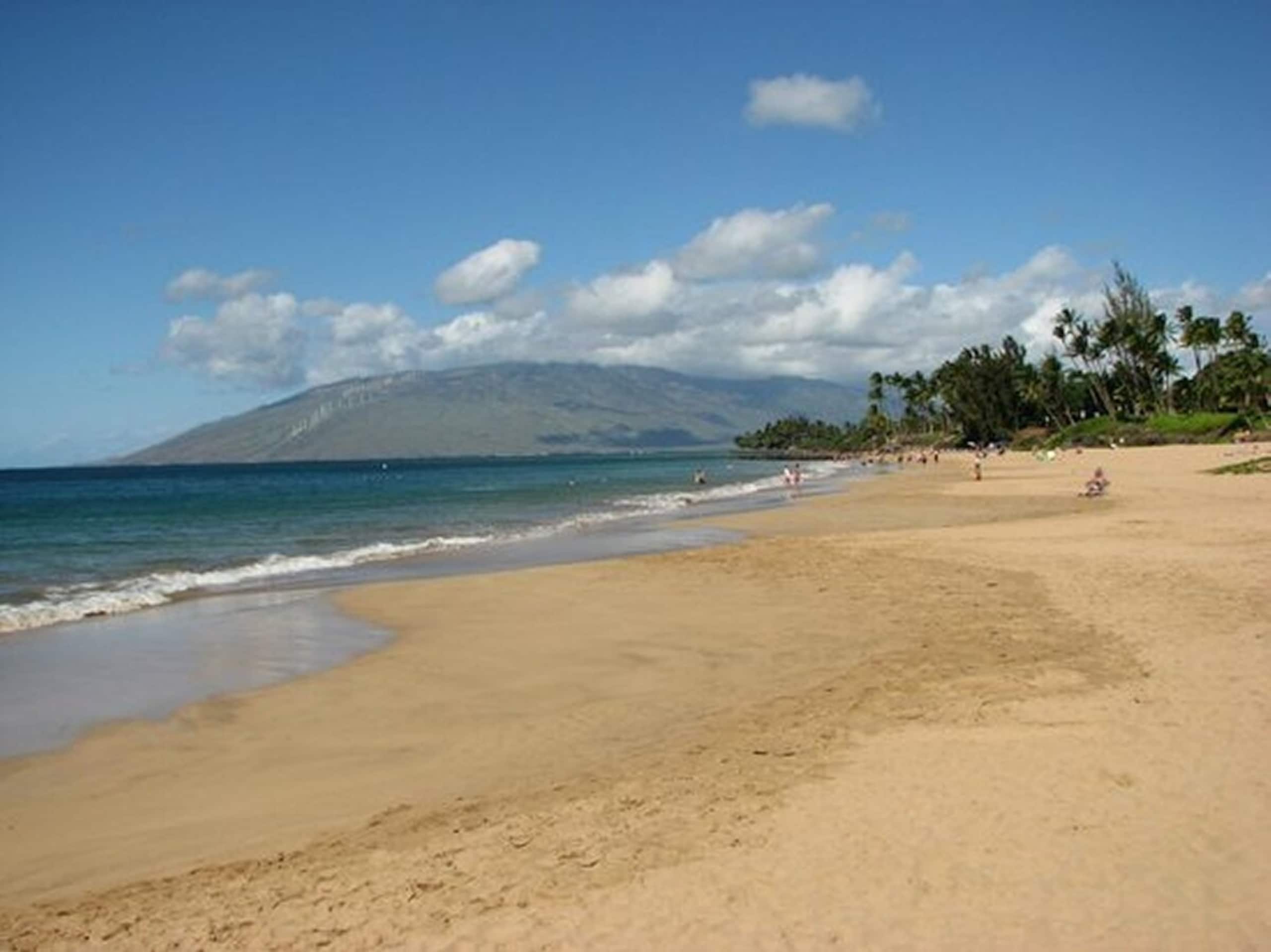 Sleeps 8 AC Beach Condo 3bdrm 3bth Kamaole Kihei - Photo 46