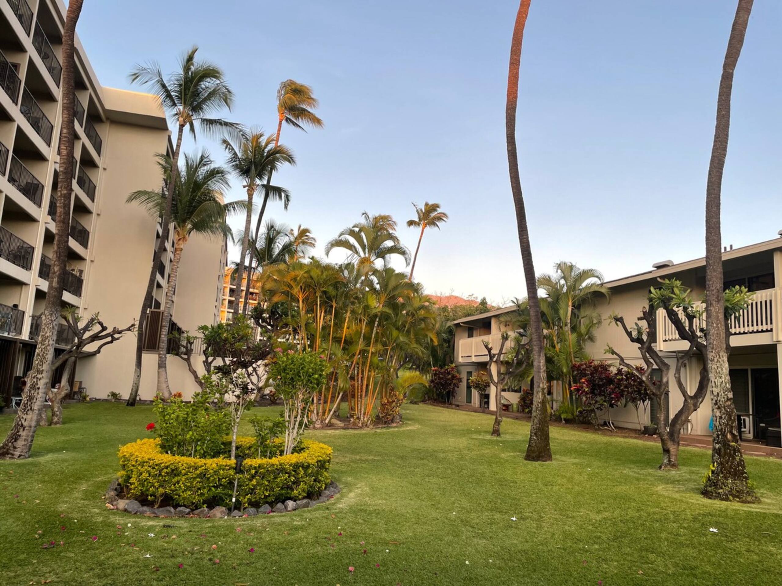 ACROSS FROM BEACH- NEWLY REMODELED- PRIME LOCATION - Photo 21