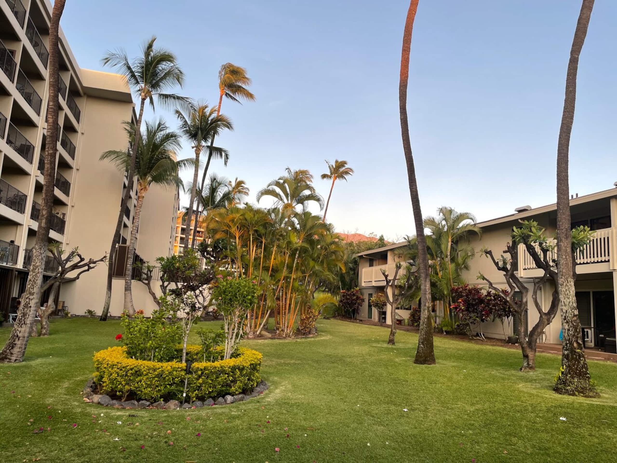 ACROSS FROM BEACH- NEWLY REMODELED- PRIME LOCATION - Photo 41