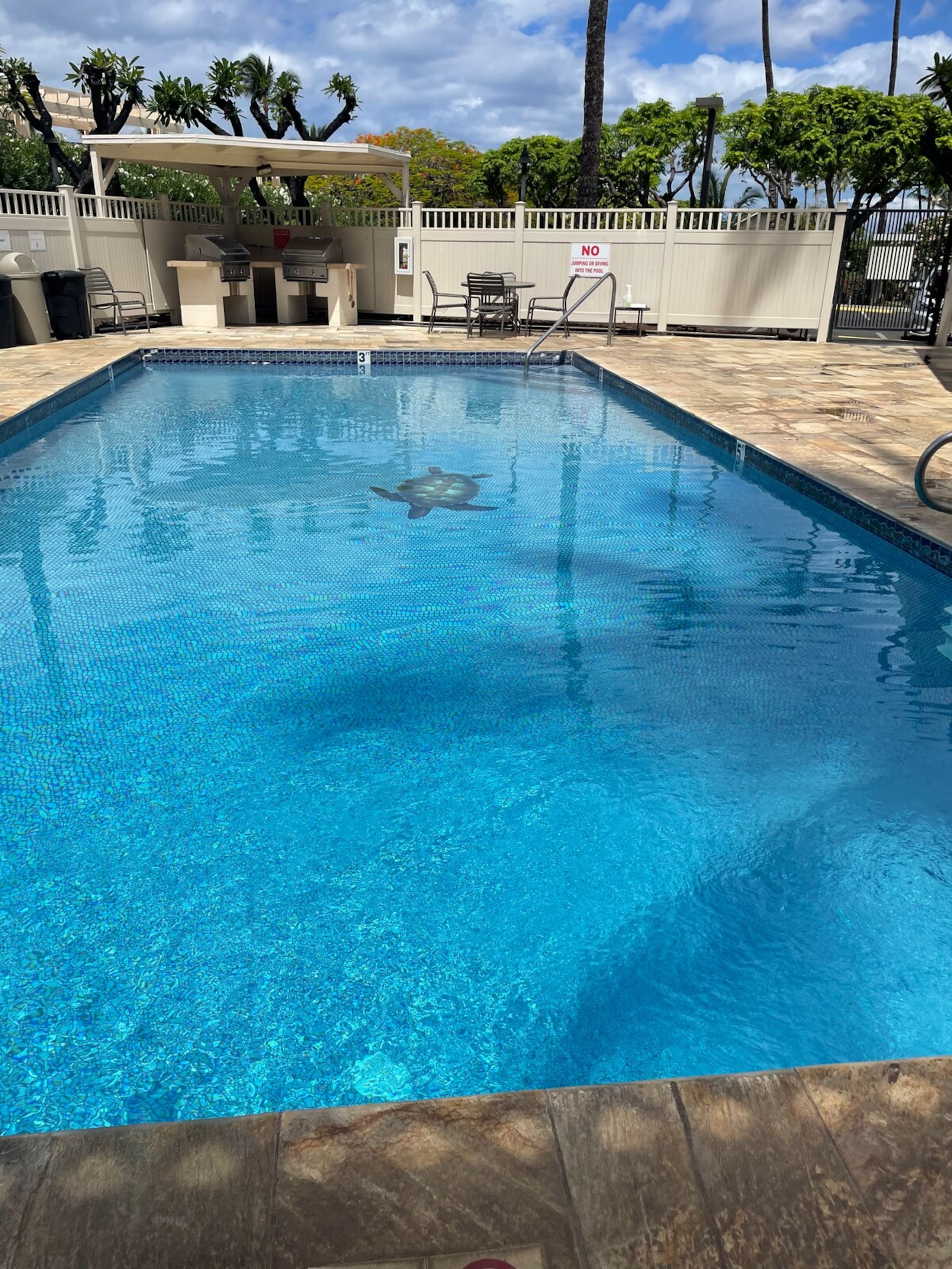 ACROSS FROM BEACH- NEWLY REMODELED- PRIME LOCATION - Photo 55