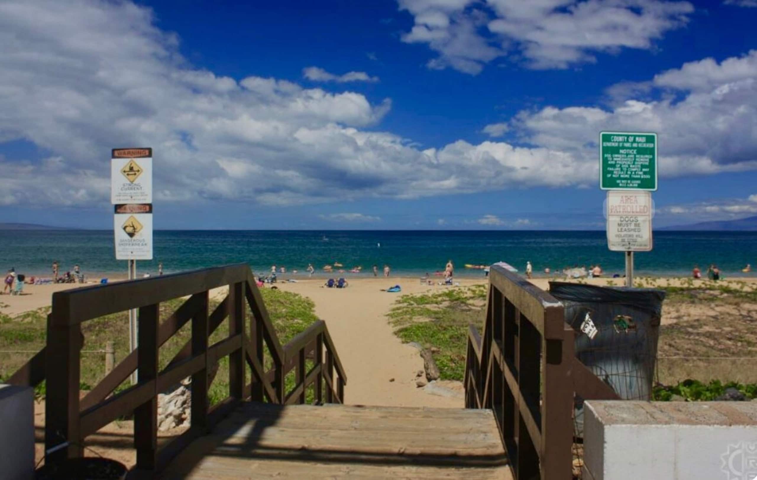 ACROSS FROM BEACH- NEWLY REMODELED- PRIME LOCATION - Photo 44