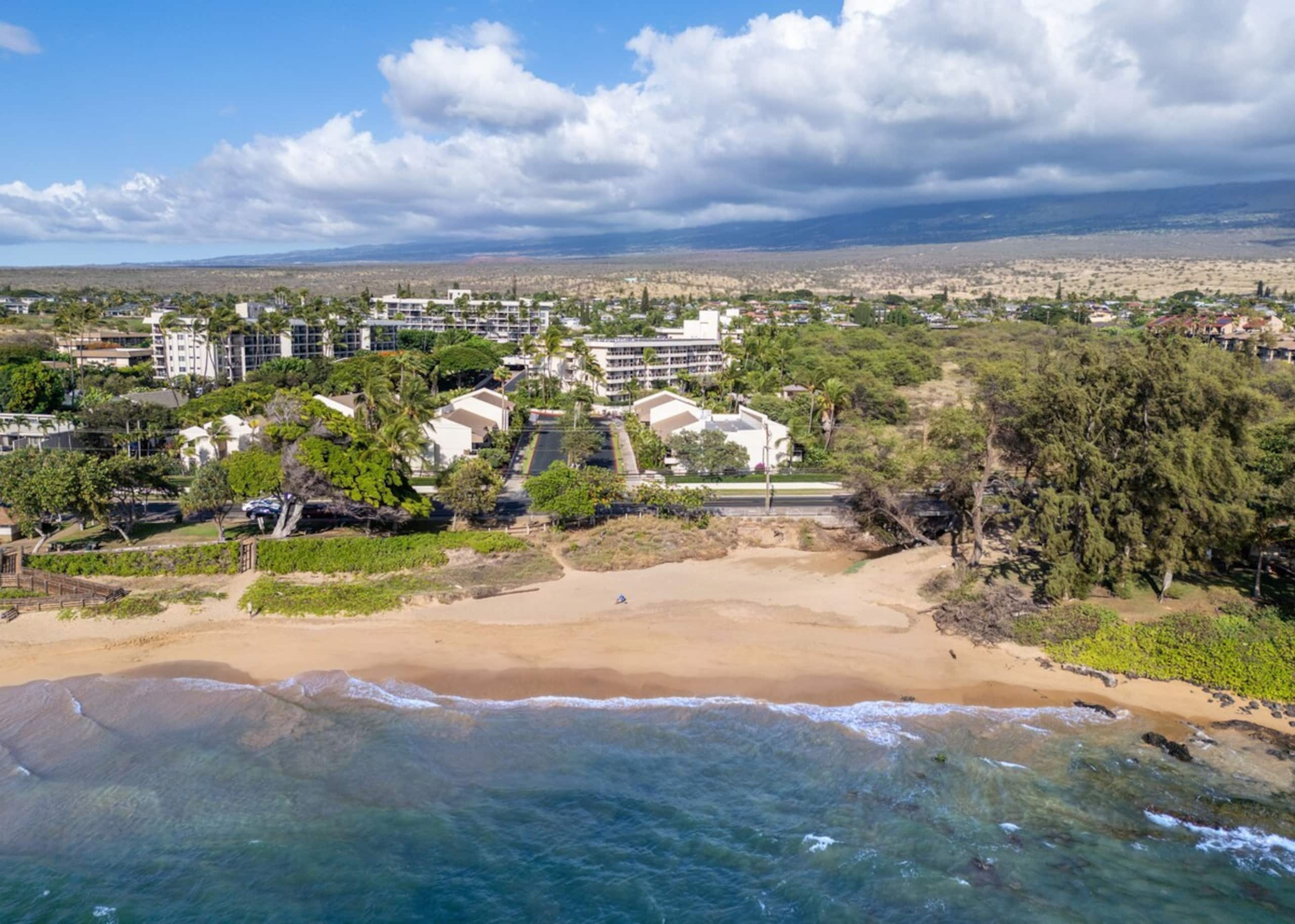 Maui Banyan Beauty, King Bed, Steps to Kam2 Beach - Photo 36