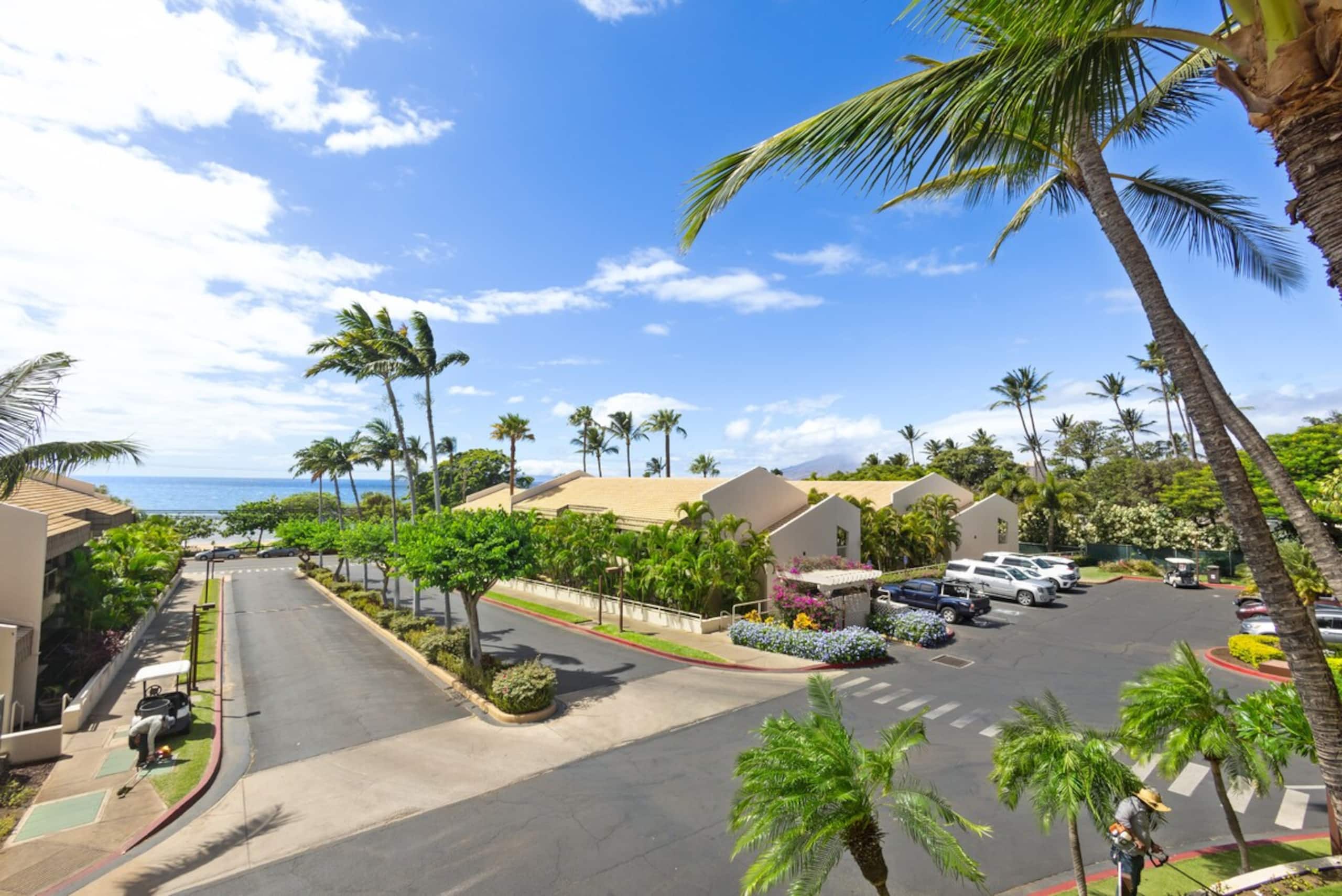Maui Banyan Beauty, King Bed, Steps to Kam2 Beach - Photo 39
