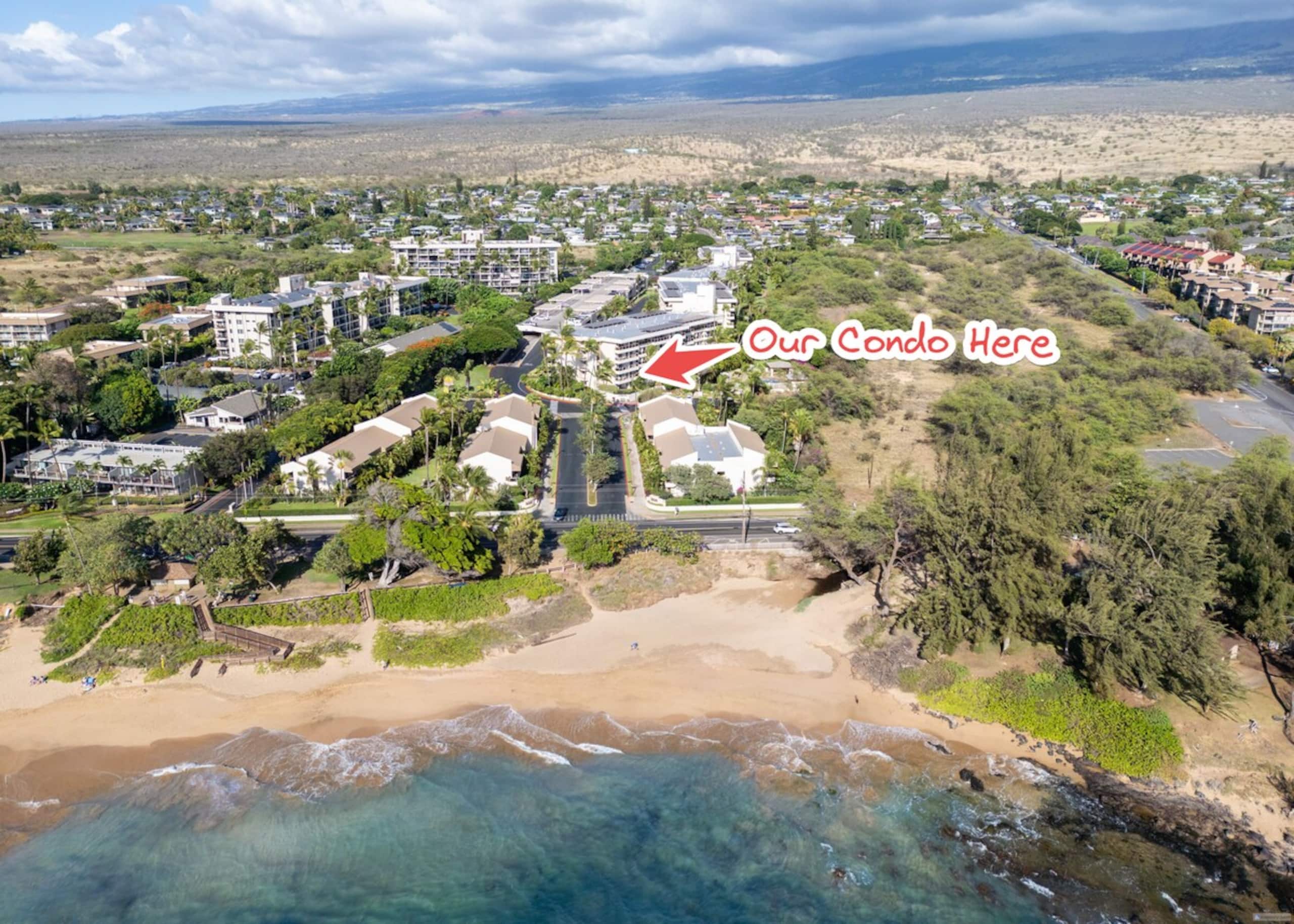 Maui Banyan Beauty, King Bed, Steps to Kam2 Beach - Photo 33