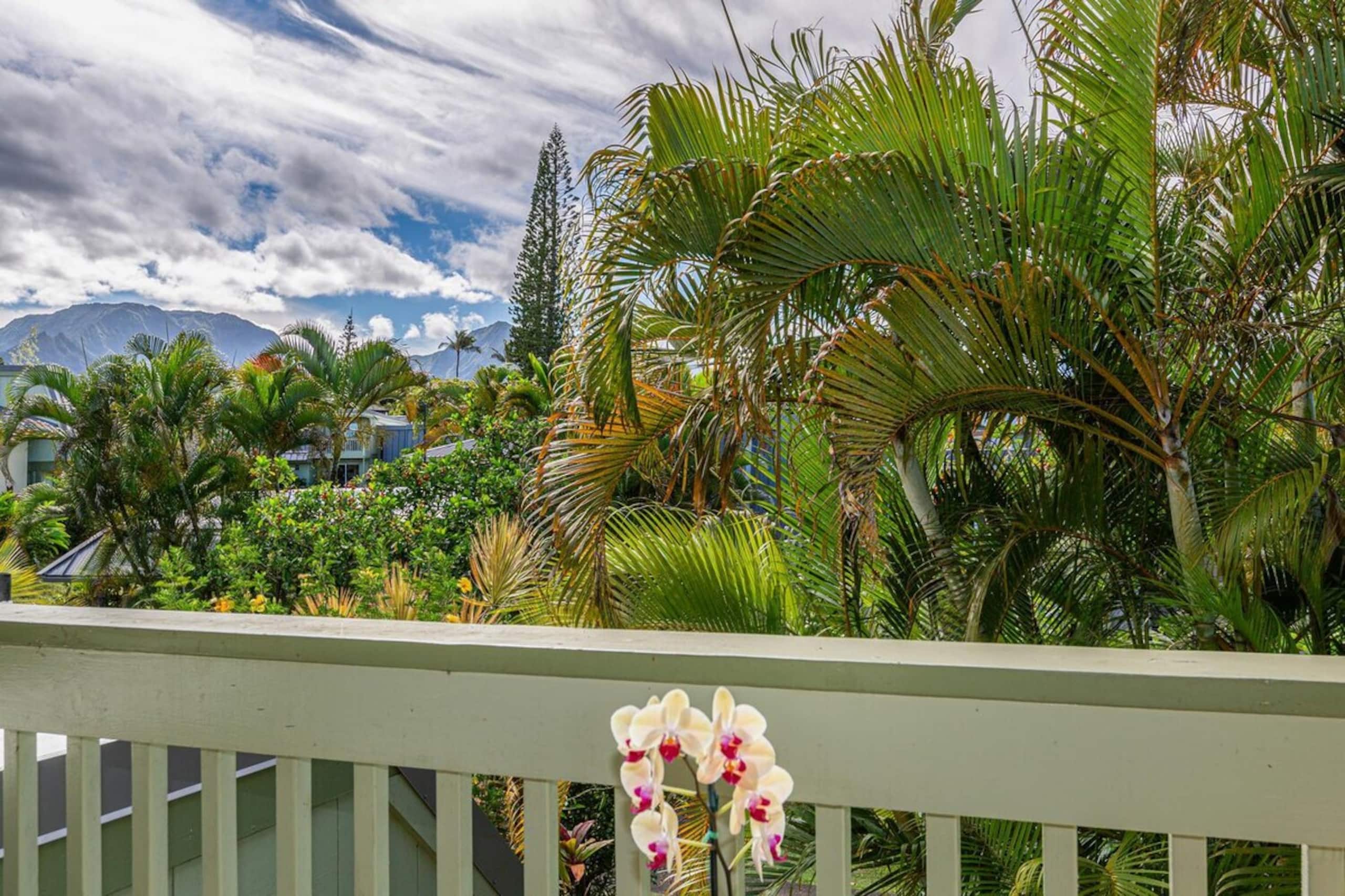Nicely updated home, hike to beach, near shopping - Photo 23