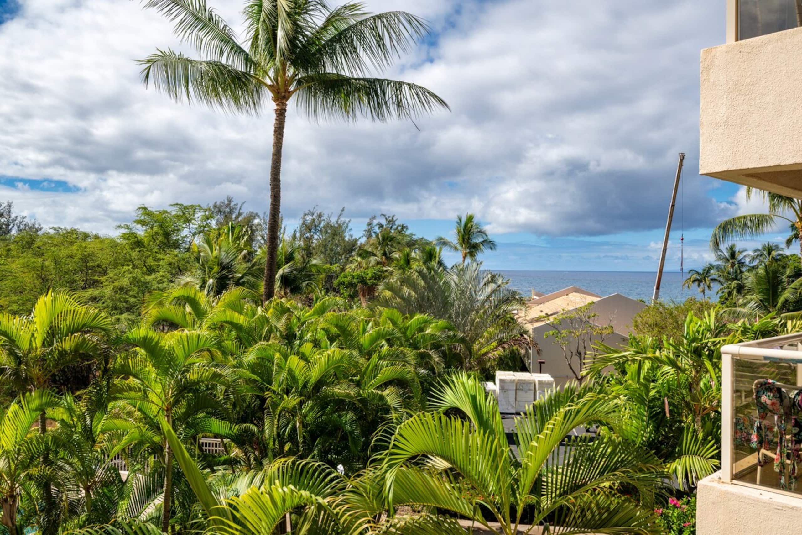 Ocean View, Maui Banyan G Condo - Photo 12