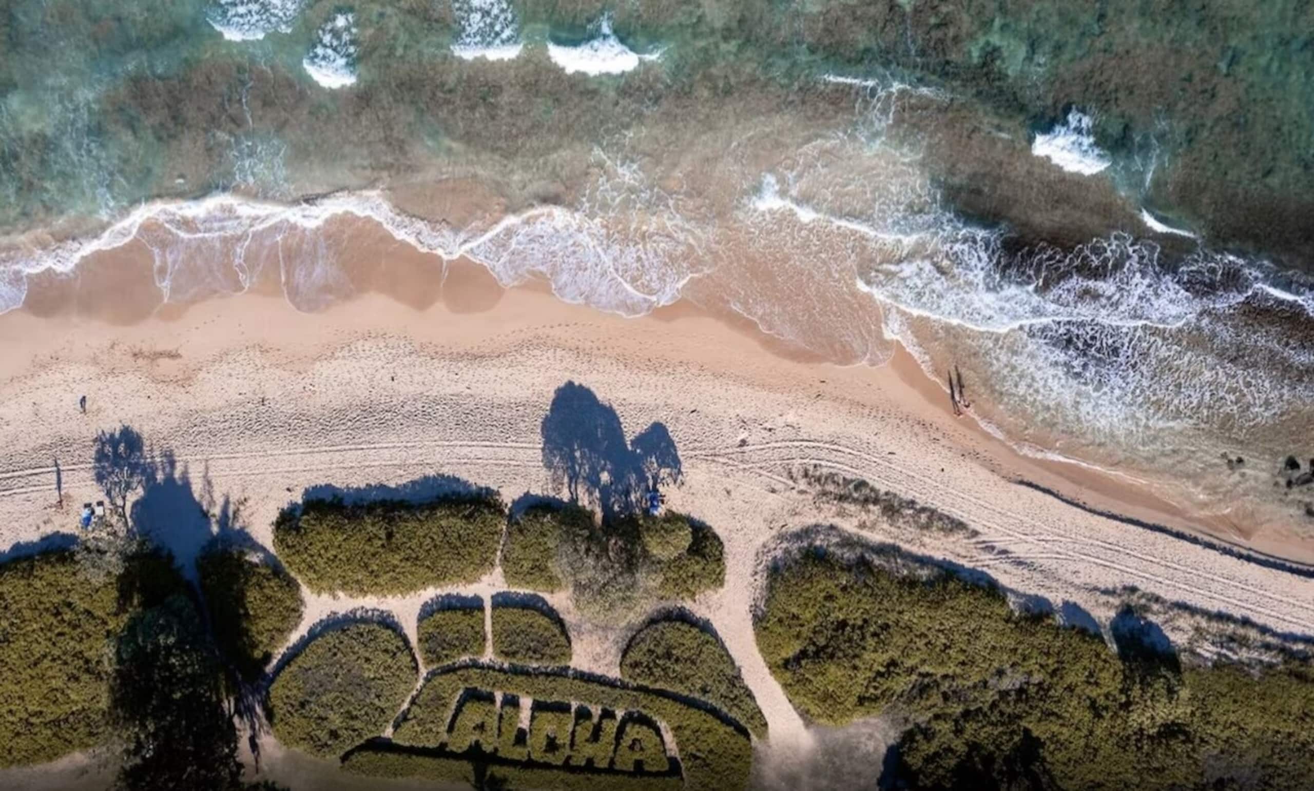 Luxury Gem at Kauai Beach Resort 3122 (2 queens) - Photo 31