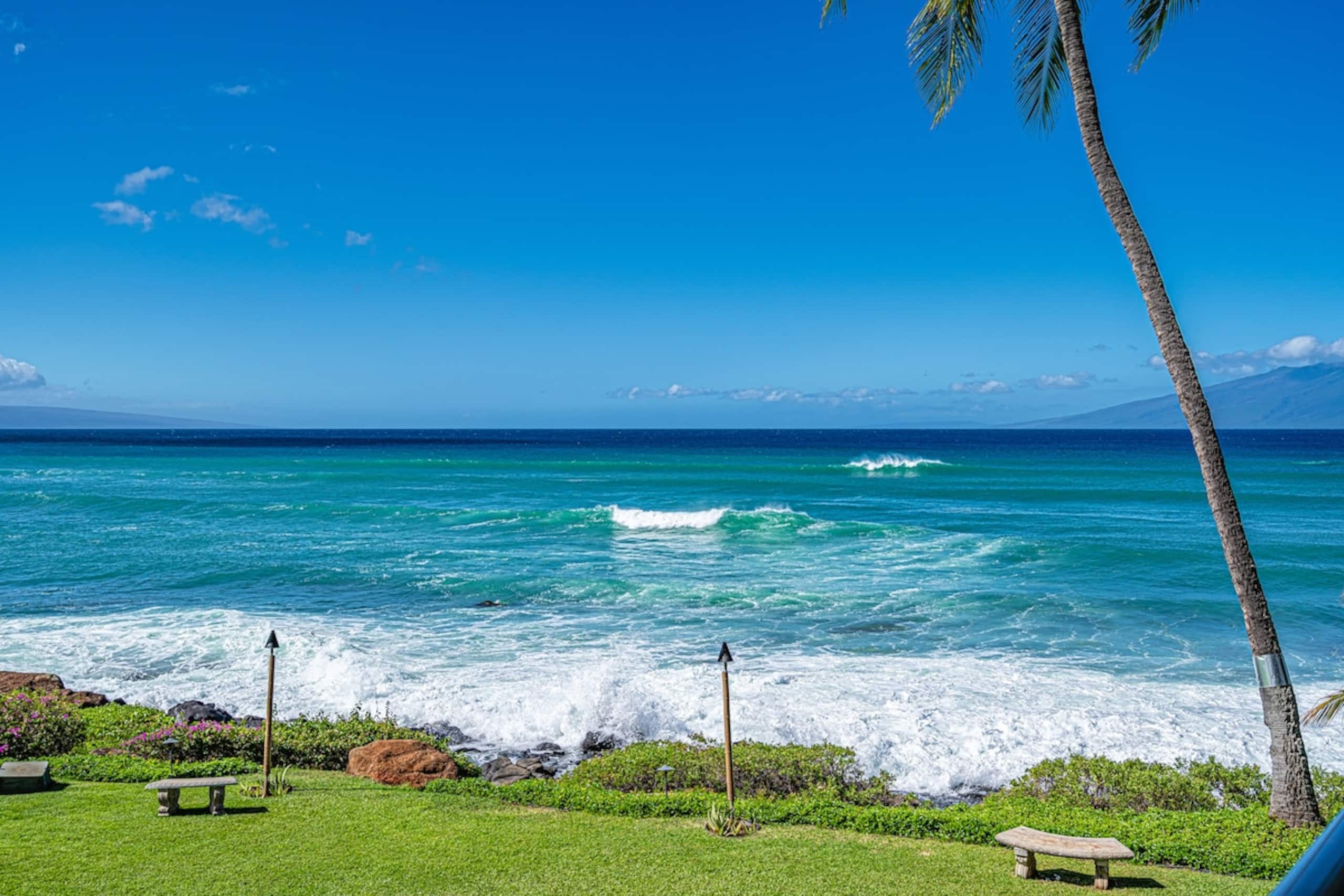 Best Ocean View 202 won't disappoint vacation dis - Photo 32