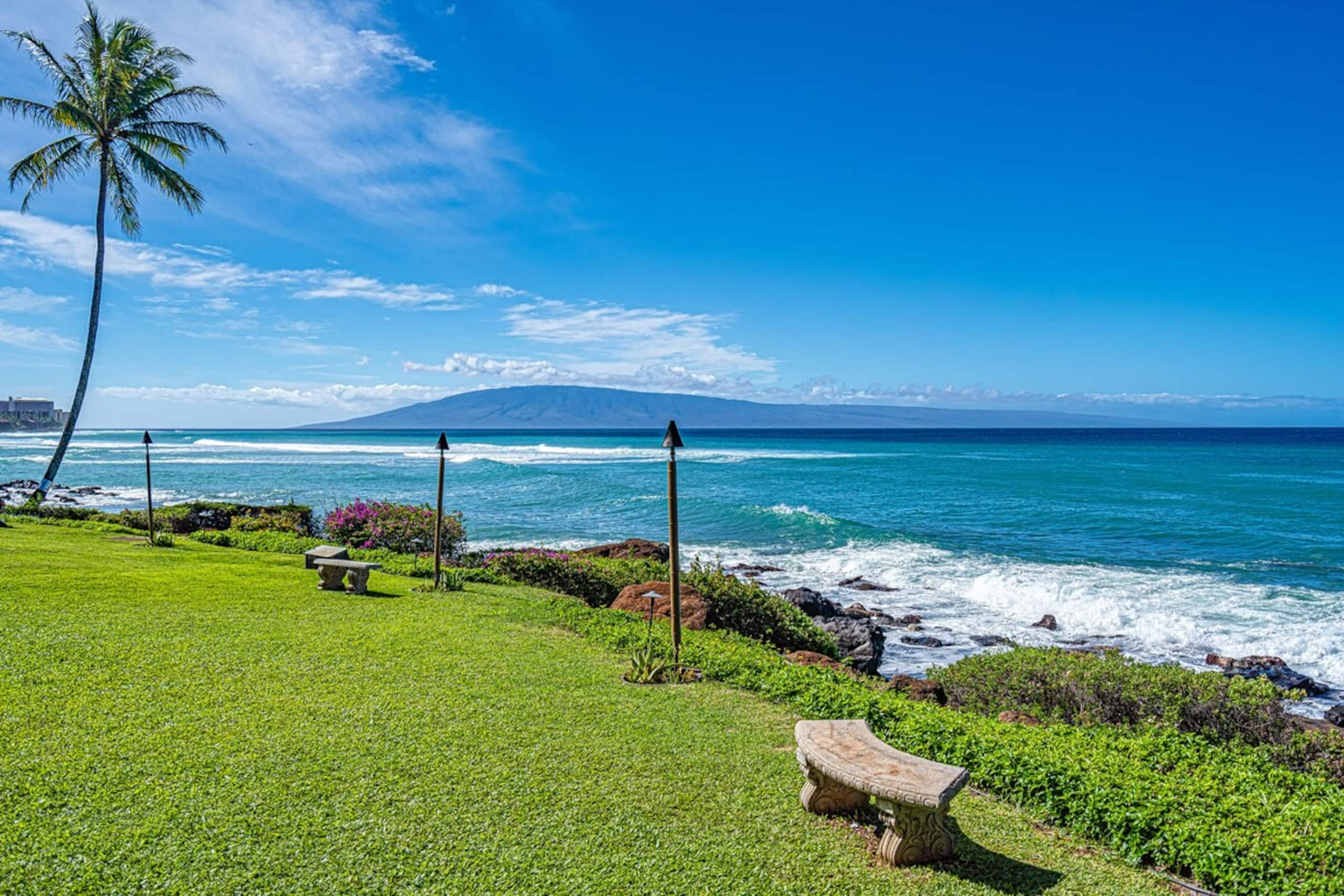 Best Ocean View 202 won't disappoint vacation dis - Photo 41