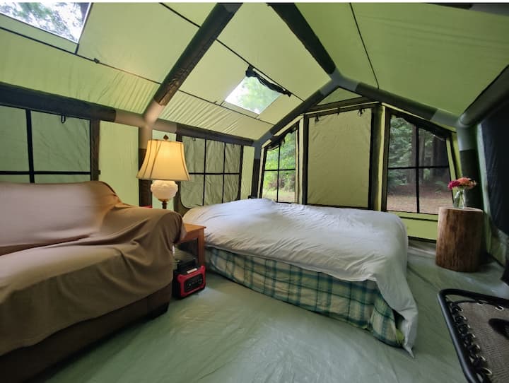 Sf. Summer Forest Tent - Crescent City, CA