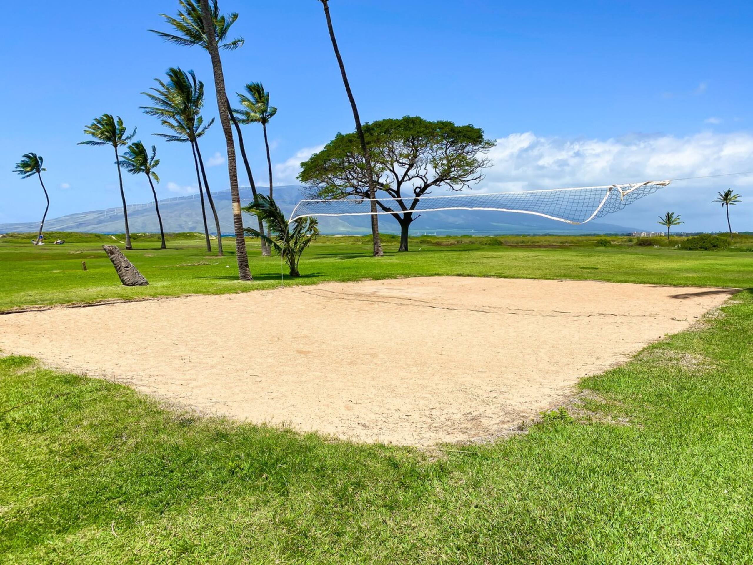 Beachfront Condo South Maui - Restaurant Nearby - Photo 35