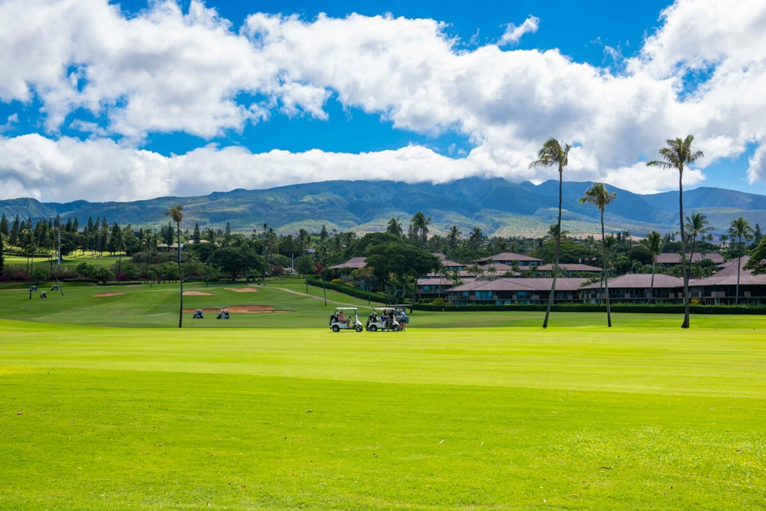 Island Oasis Near Kaanapali Beach & Black Rock - Photo 40