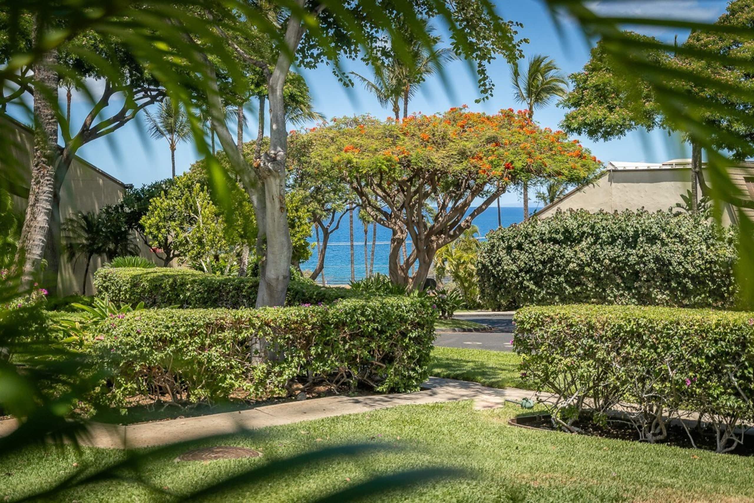 Short walk to Maui's best beaches - Photo 33
