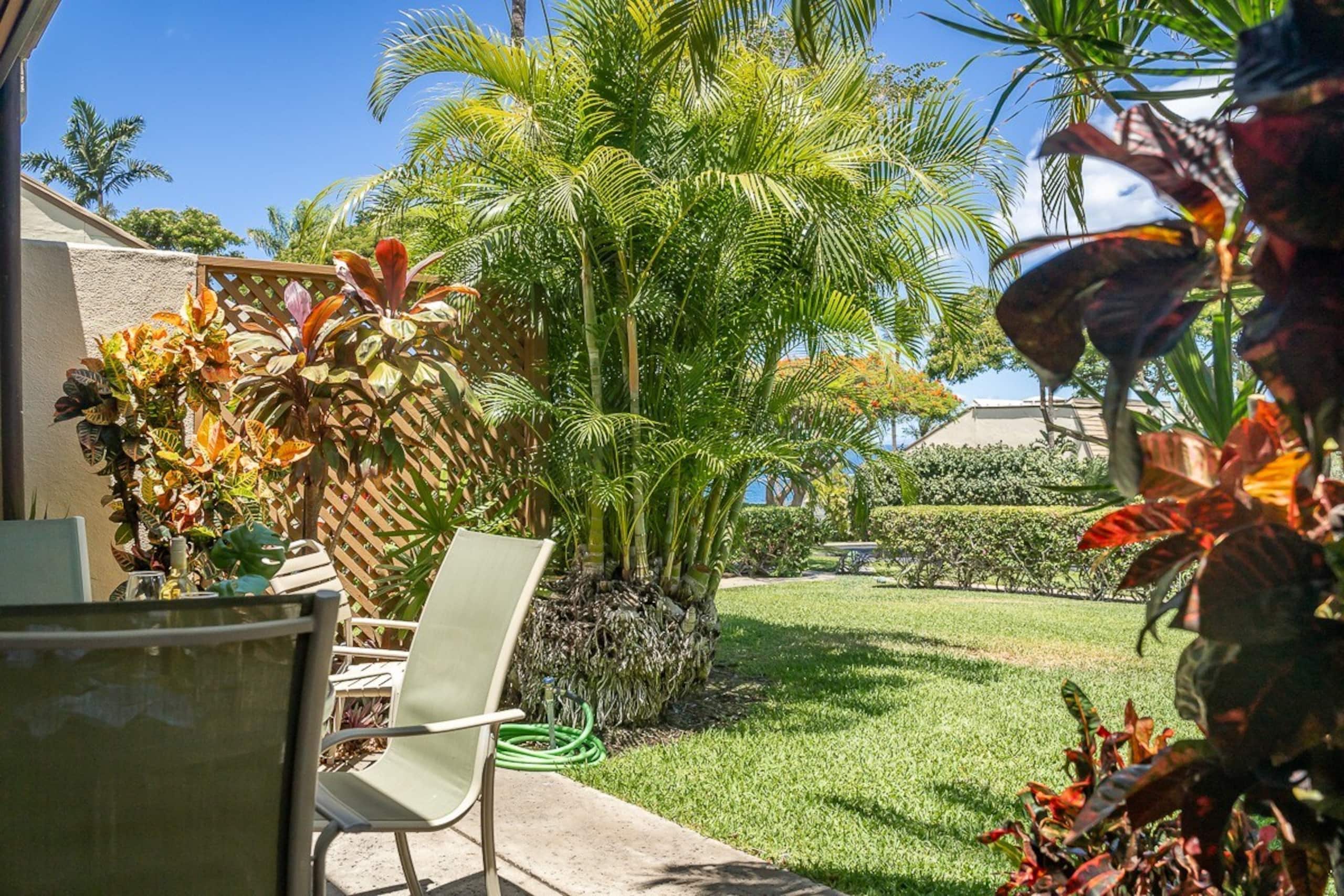 Short walk to Maui's best beaches - Photo 28