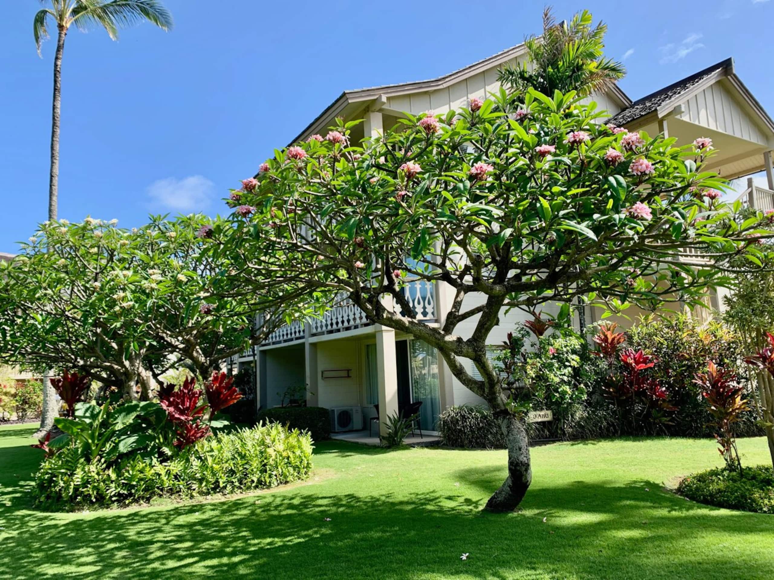 This is your Gorgeous Oceanview Top Floor AC WIFI - Photo 24