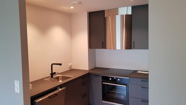 Modern, Quiet Apartment Near Main Bus Route - Stavanger