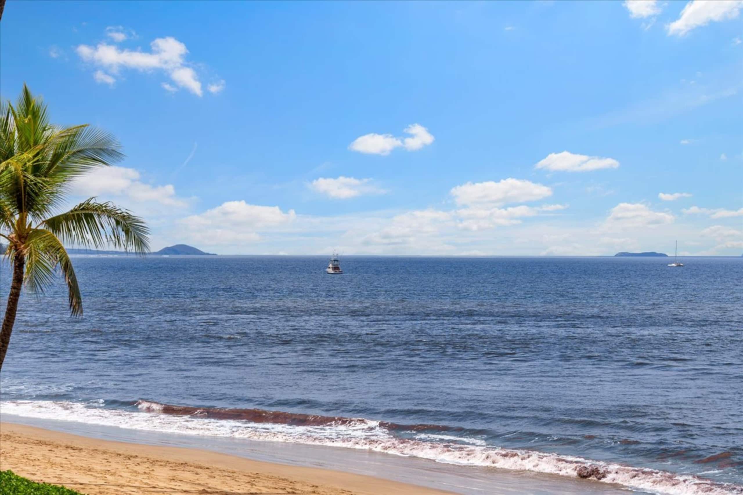 Tropical oceanfront escape, steps from Sugar Beach - Photo 34