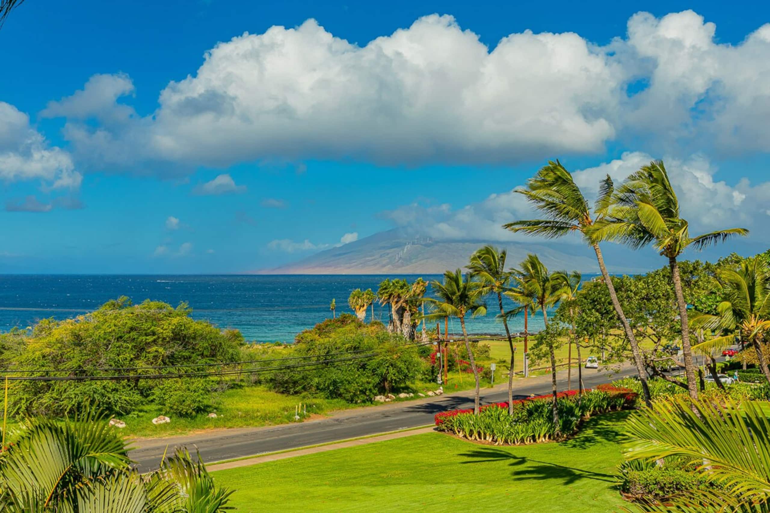 Ocean view condo across Kamaole Beach - Photo 6
