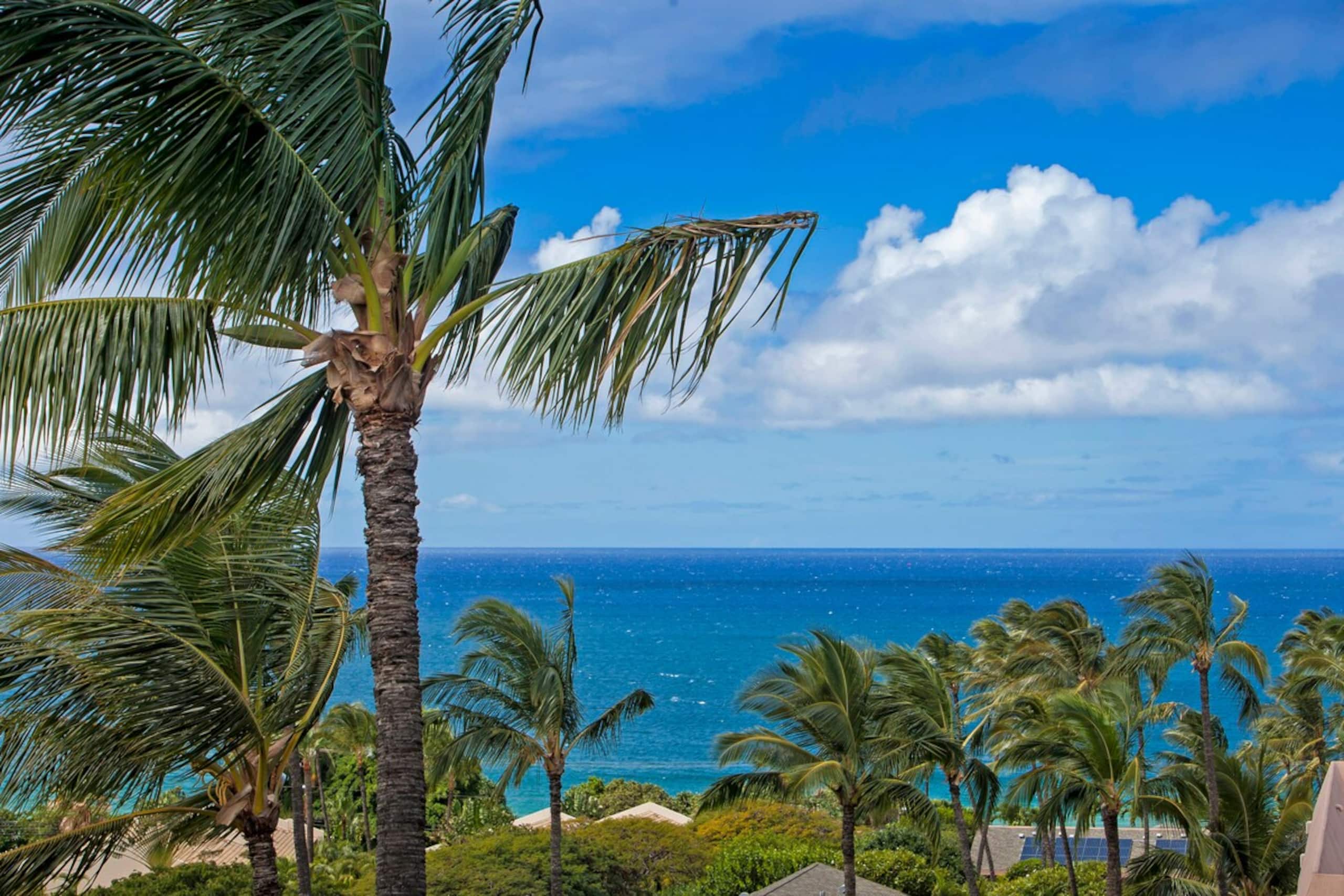 Ground Floor Condo w/ Pool & short walk to Beach - Photo 32