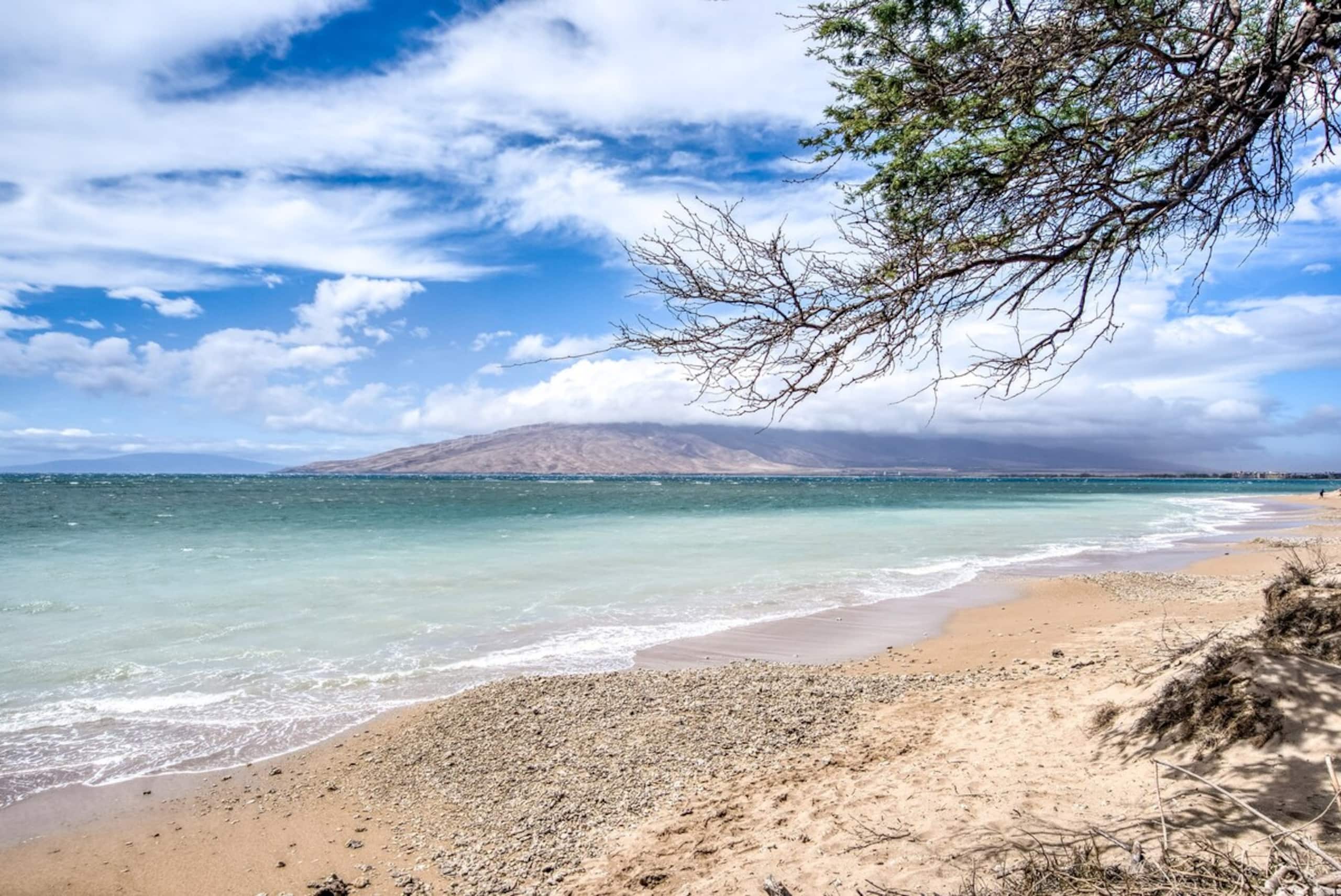 Oceanfront condo w/ sunset lanai and pool - Photo 38