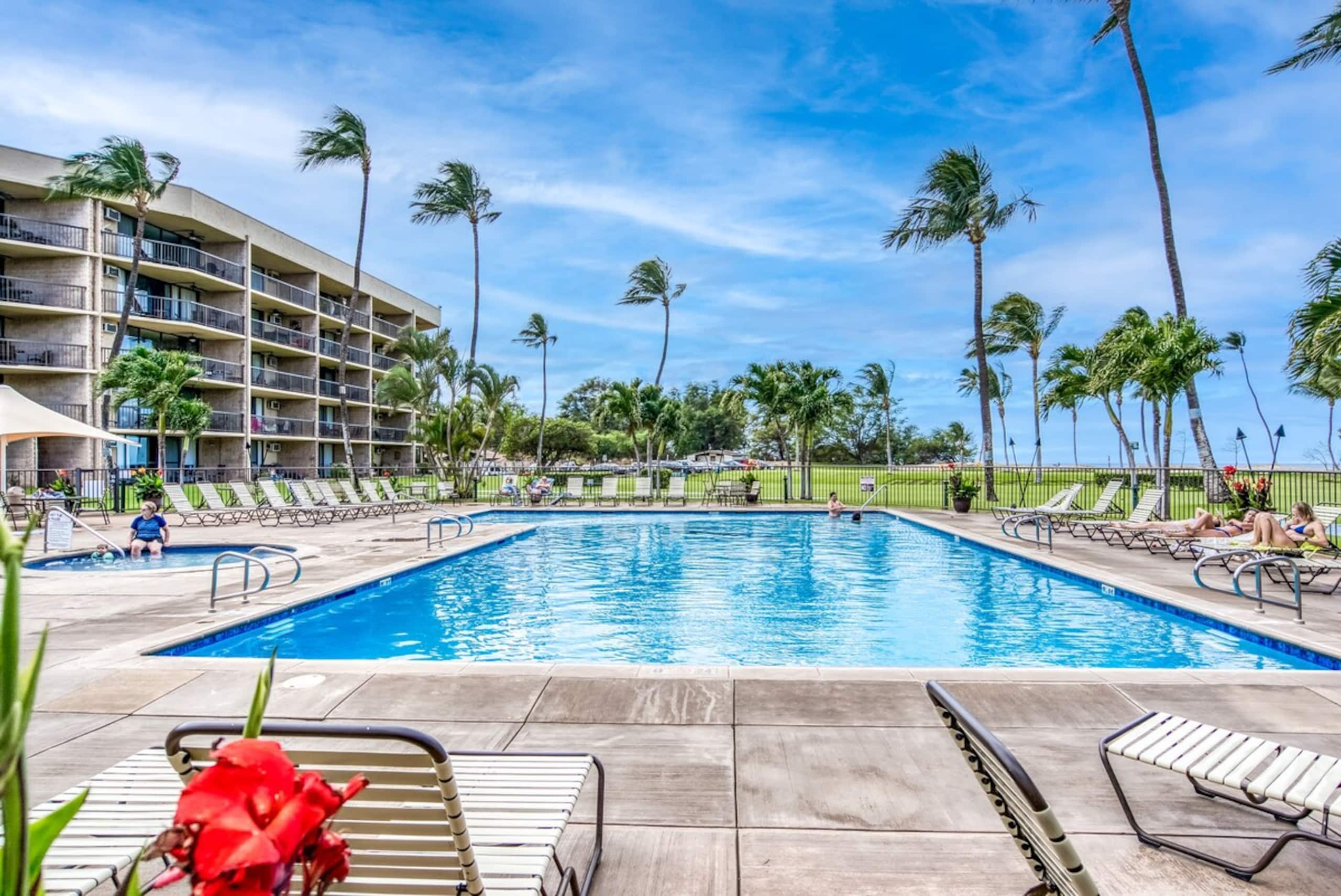 Oceanfront condo w/ sunset lanai and pool - Photo 32