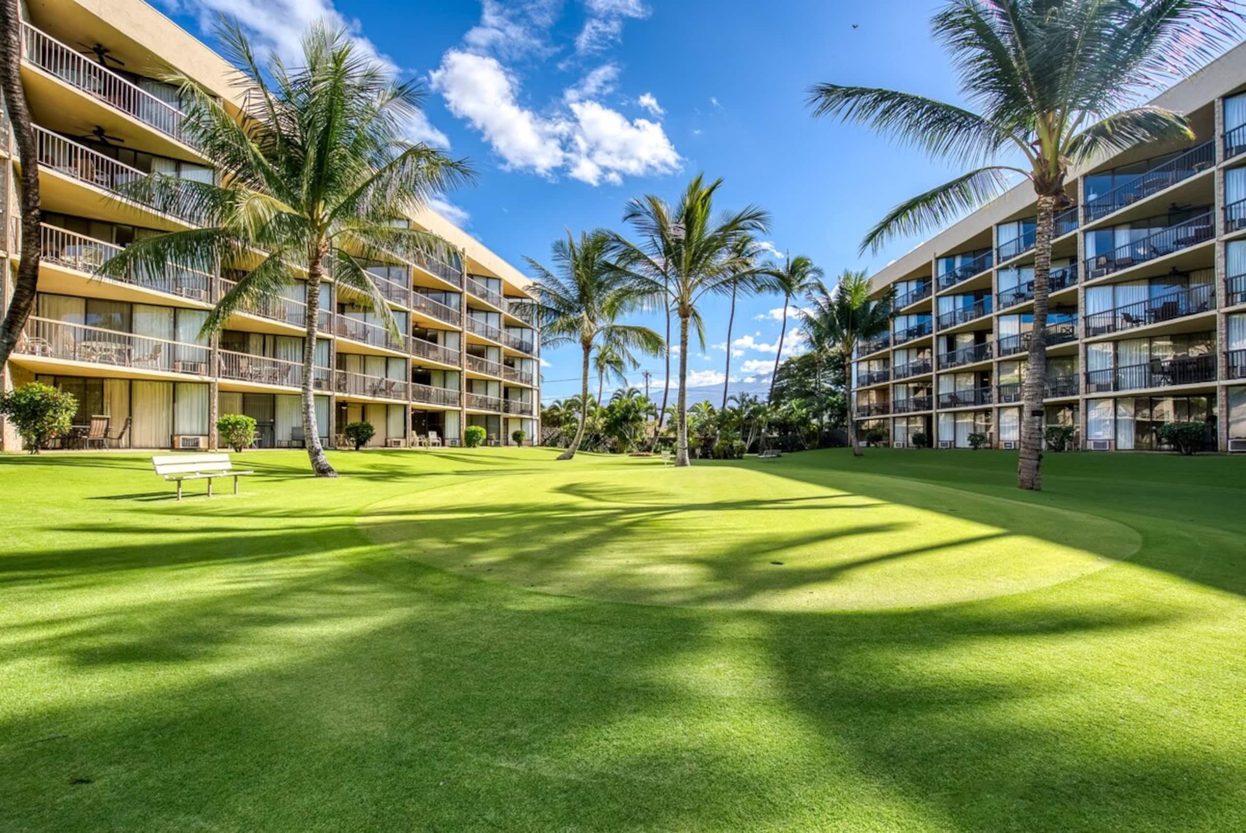 Oceanfront condo w/ sunset lanai and pool - Photo 39
