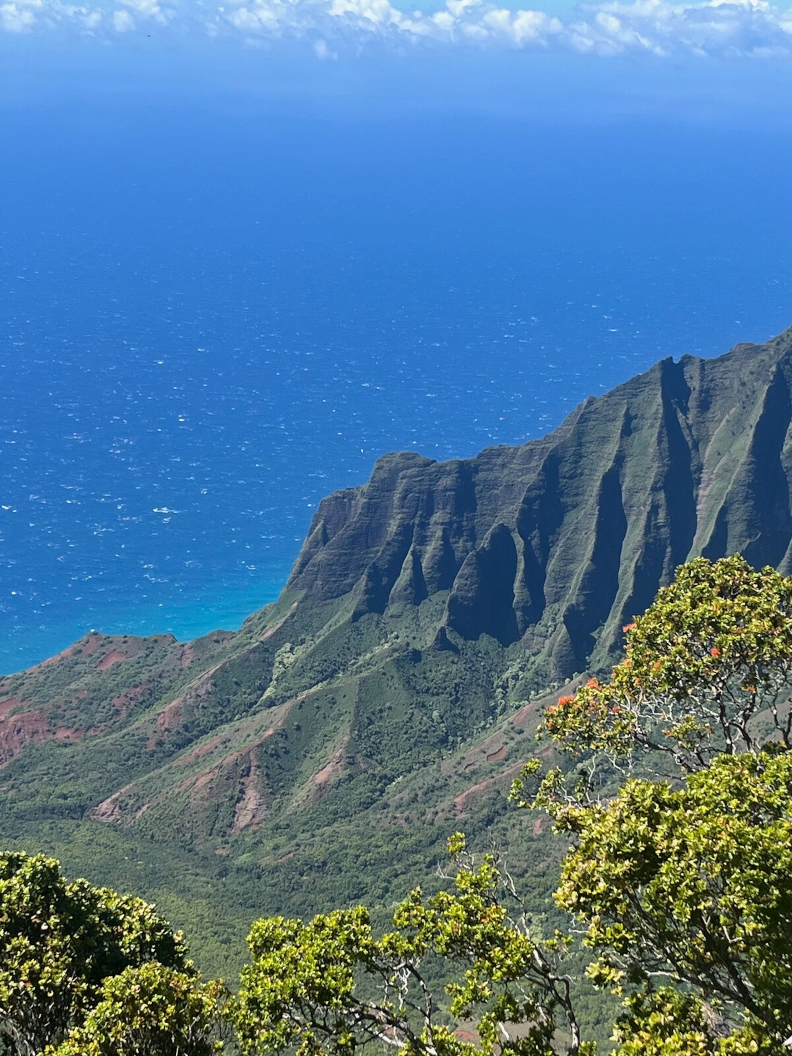 1 BR condo, Princeville, Kauai - Photo 39