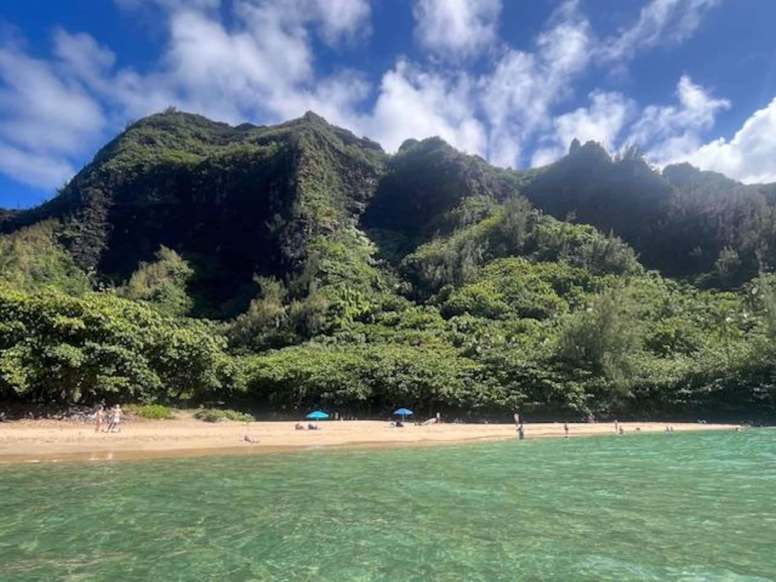 1 BR condo, Princeville, Kauai - Photo 32