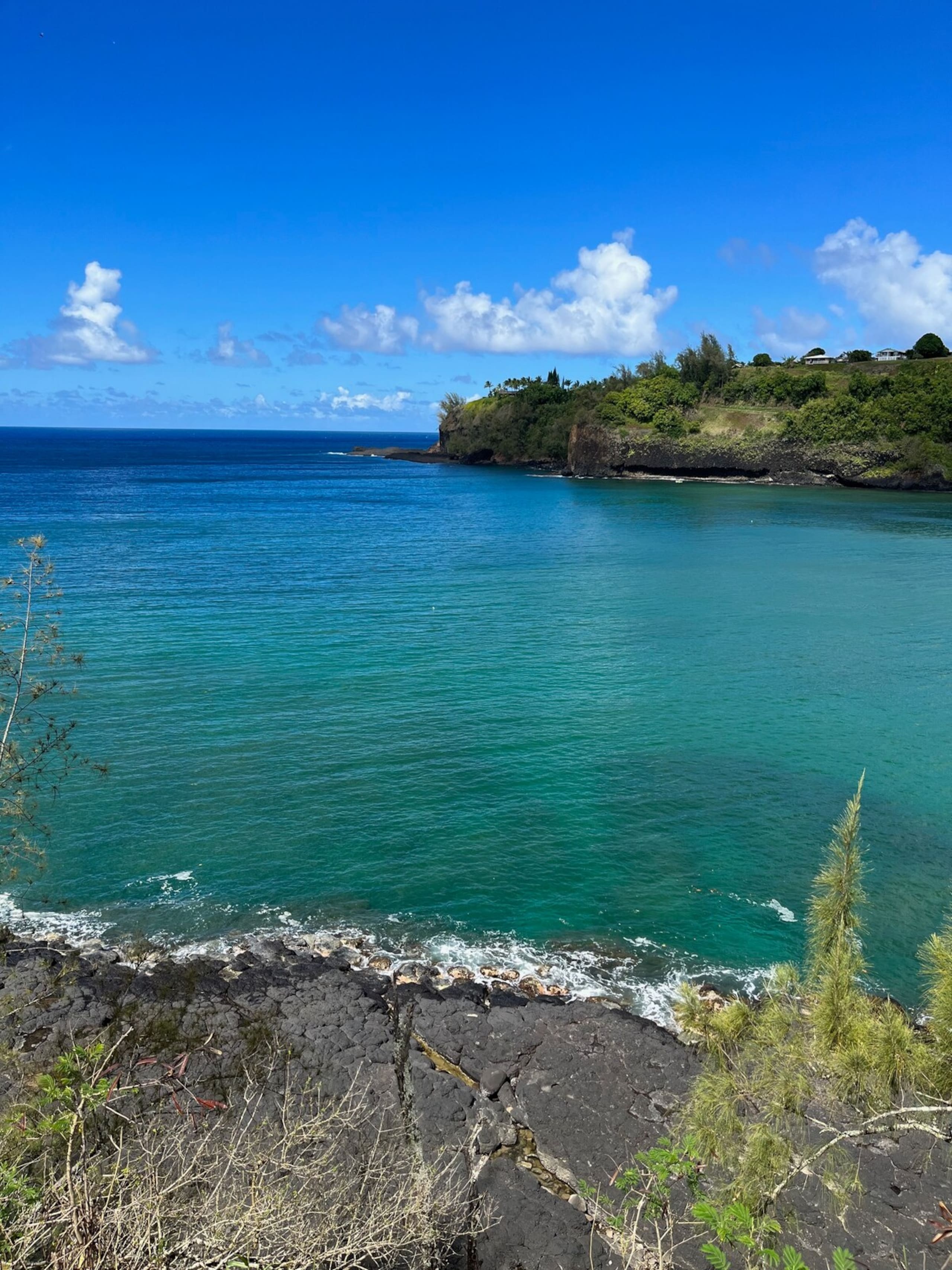 1 BR condo, Princeville, Kauai - Photo 33