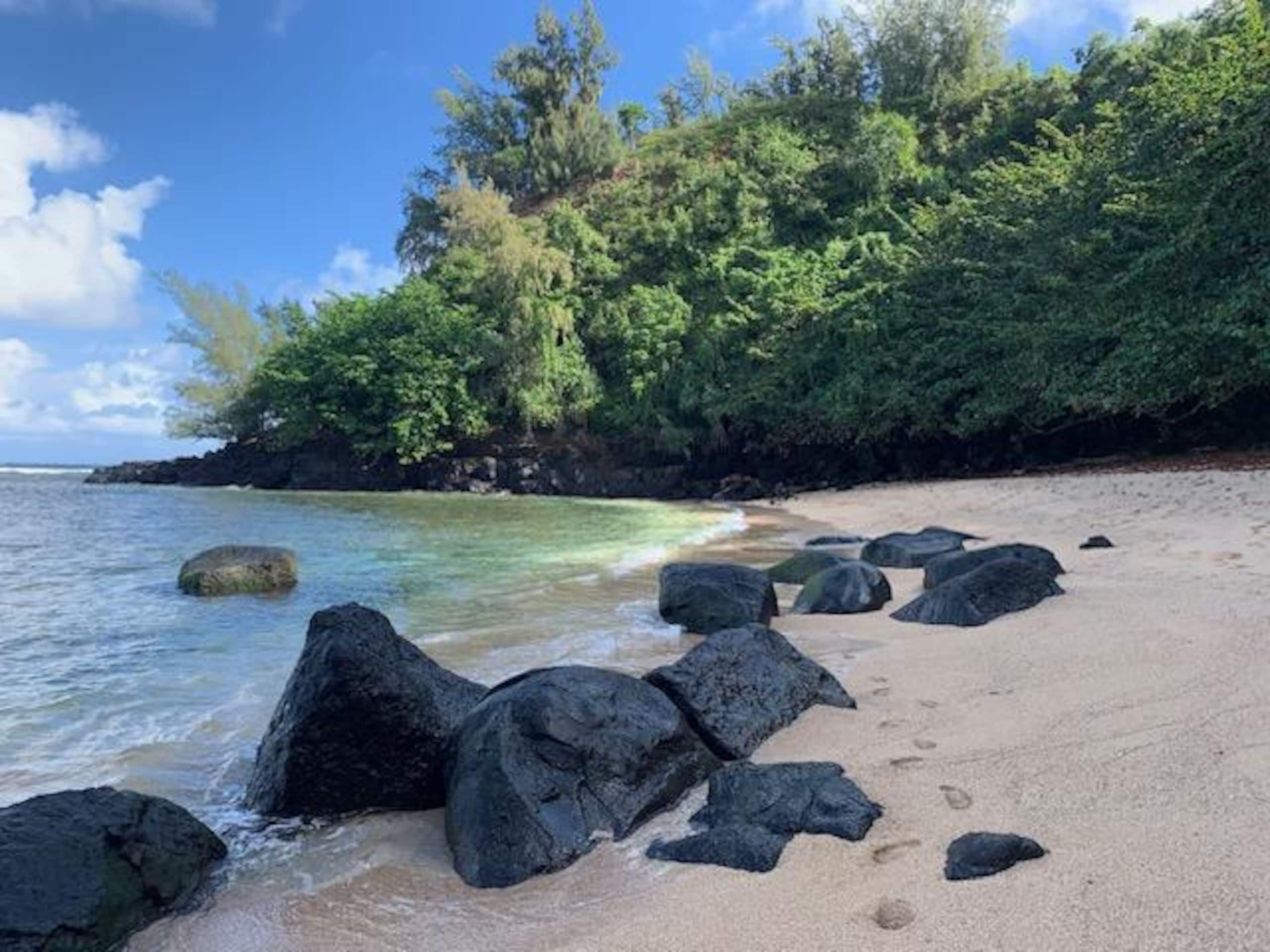 1 BR condo, Princeville, Kauai - Photo 17