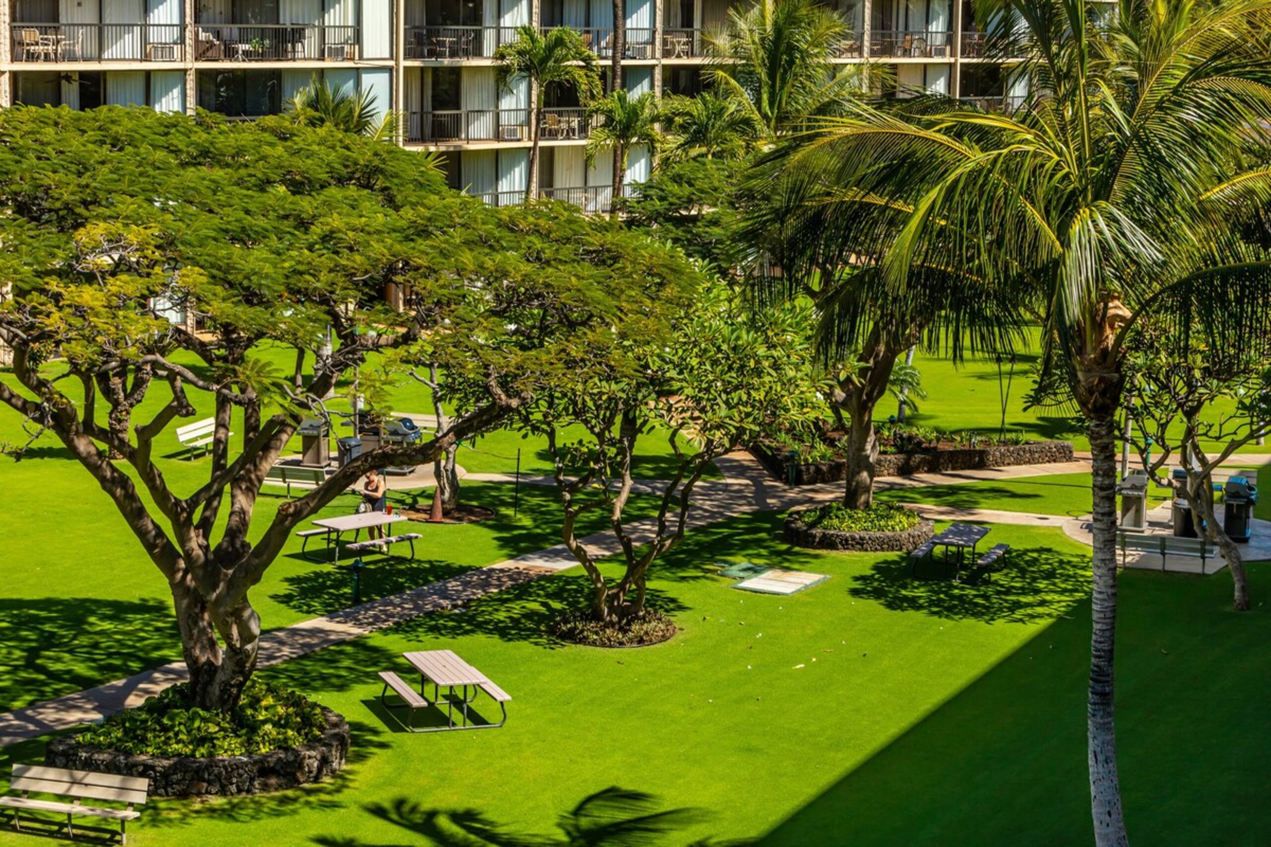 Spacious Renovated Unit, Ocean Front Views MSB417 - Photo 40