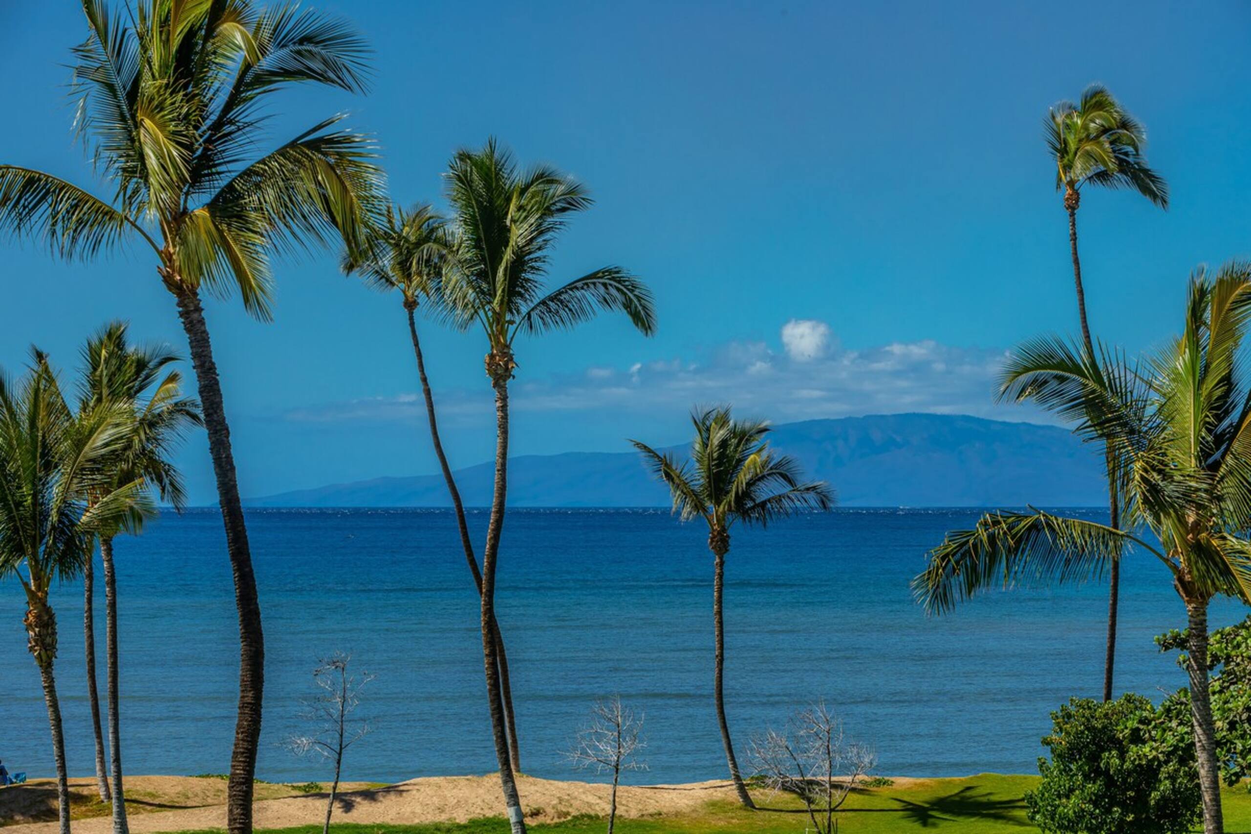 Spacious Renovated Unit, Ocean Front Views MSB417 - Photo 39