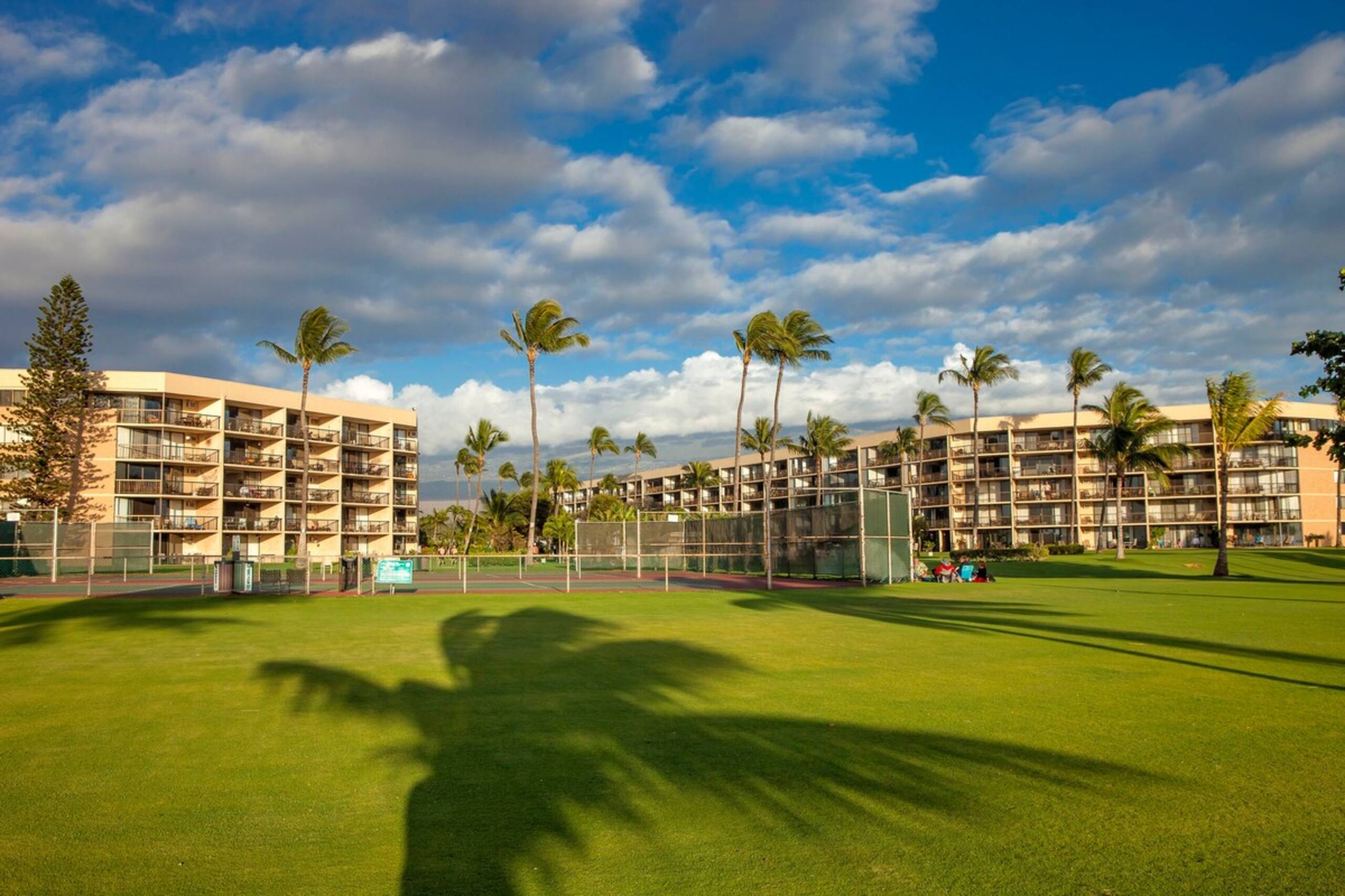 Spacious Renovated Unit, Ocean Front Views MSB417 - Photo 28