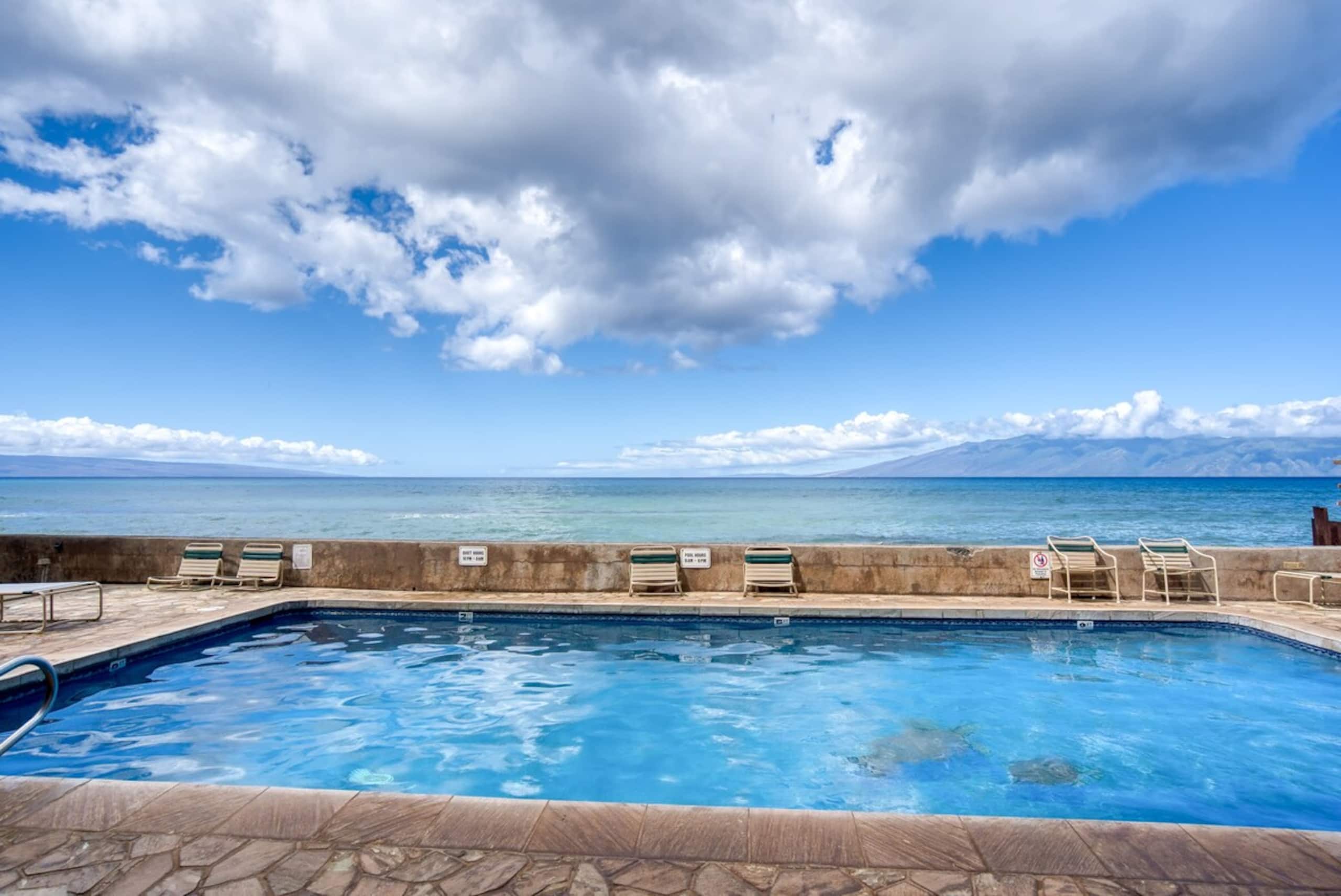 Oceanfront 2BR ground floor w/ snorkeling access - Photo 37