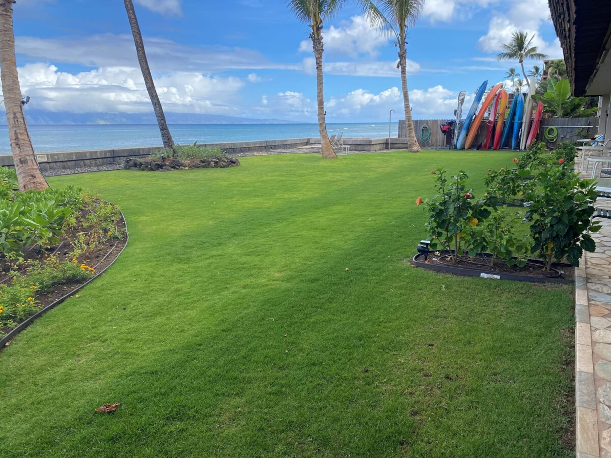 Discounted Rates 204 Beautiful oceanfront 1 bed - Photo 23