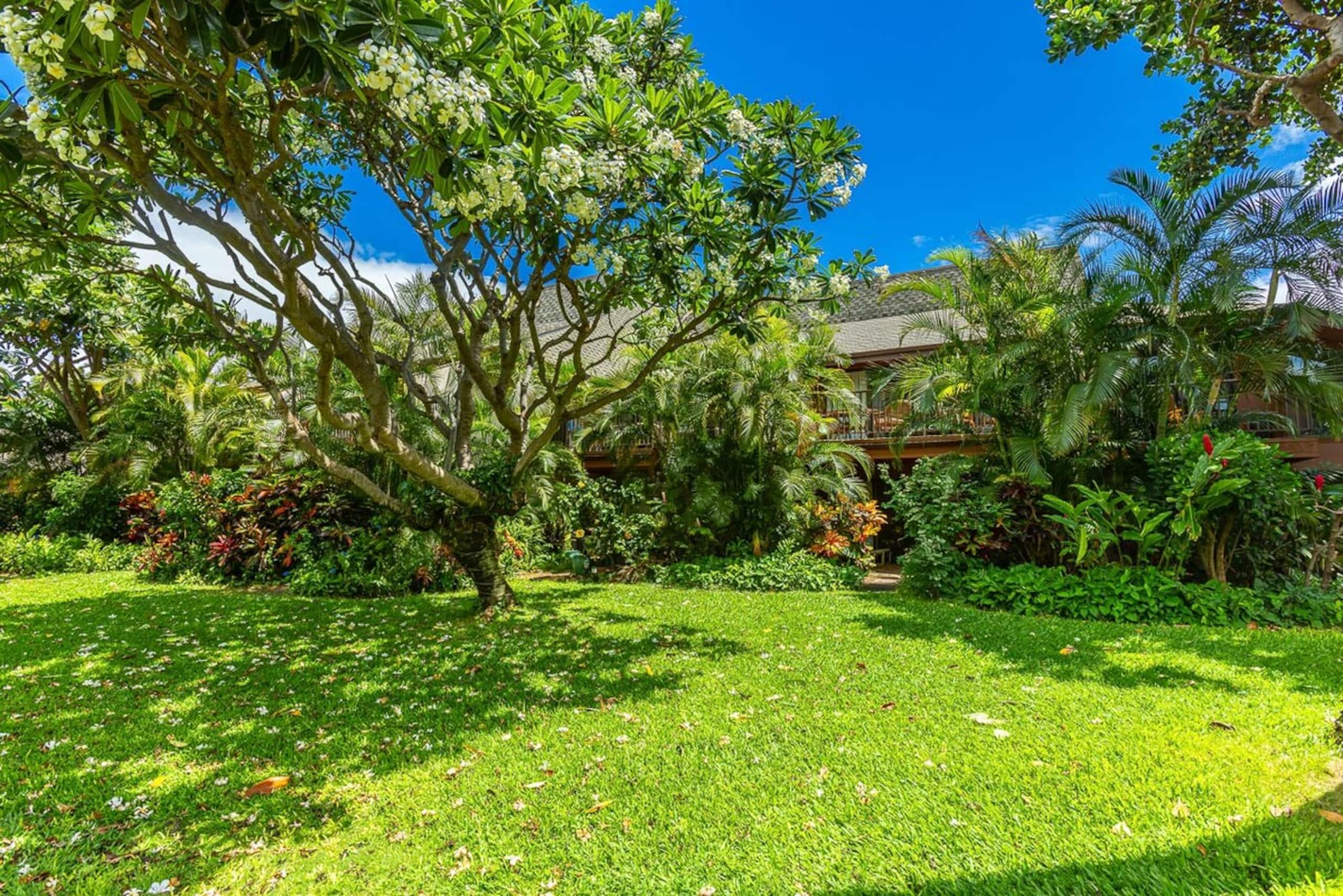 Koa Resort 2E 2-bedroom, Pool, Pickleball, New AC - Photo 16