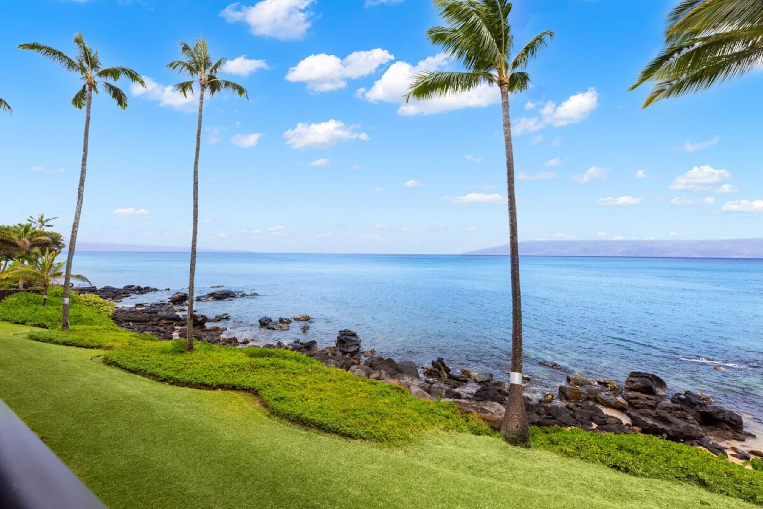 1bd Oceanfront gem with charm, views & Island vibe - Photo 45