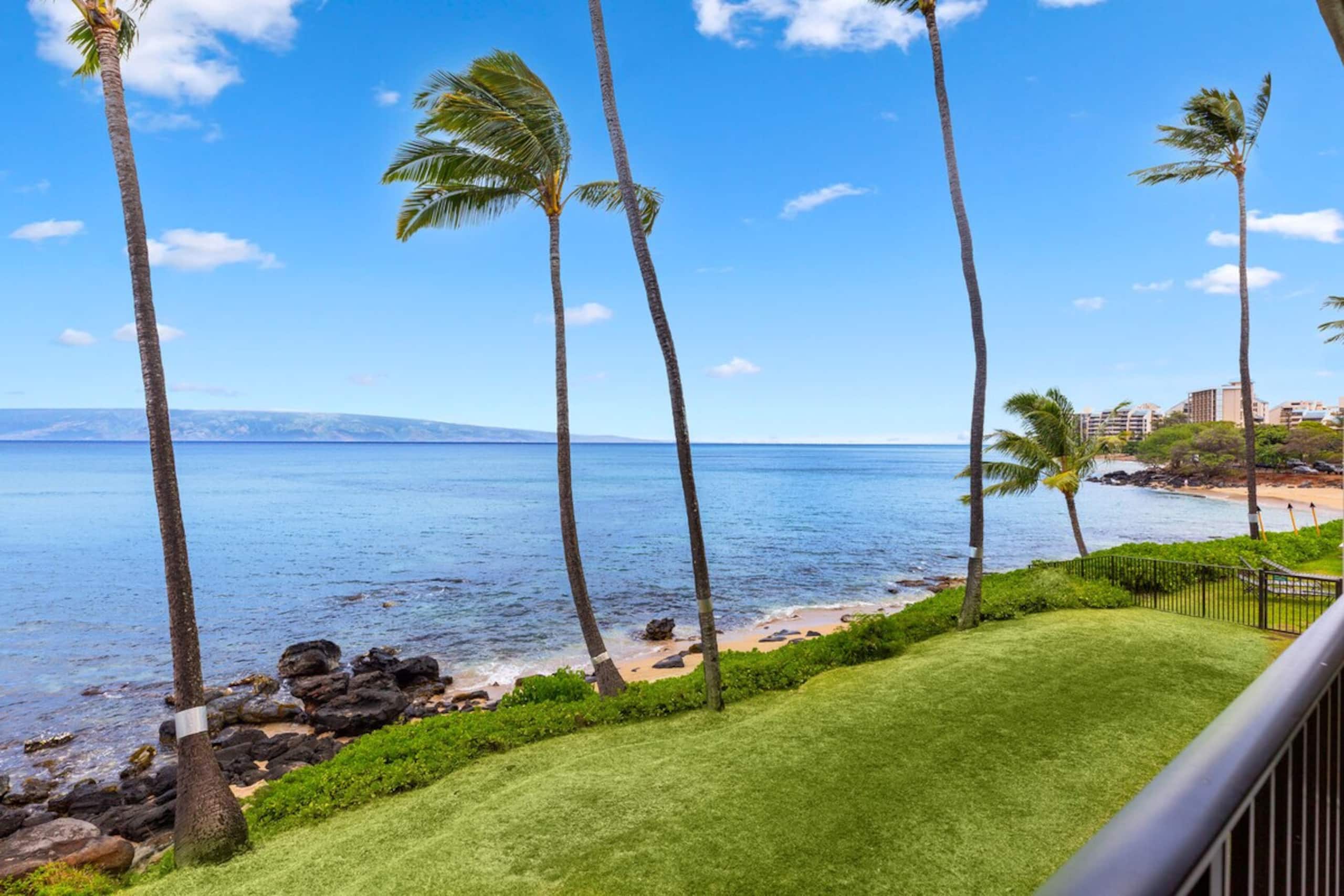 1bd Oceanfront gem with charm, views & Island vibe - Photo 46