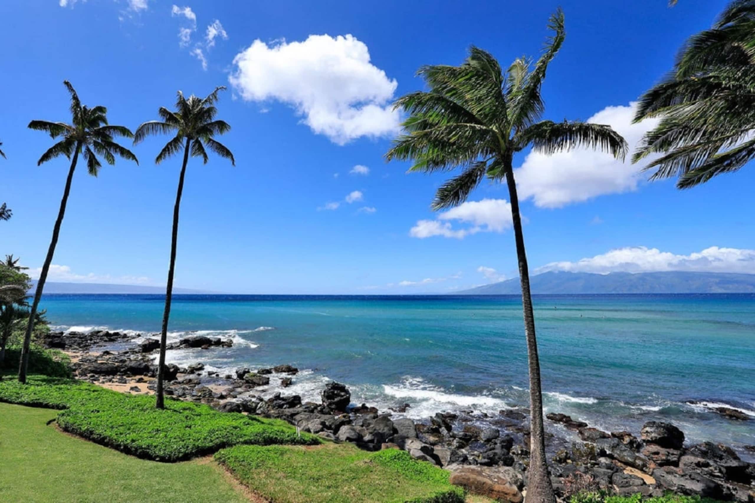 1bd Oceanfront gem with charm, views & Island vibe - Photo 2
