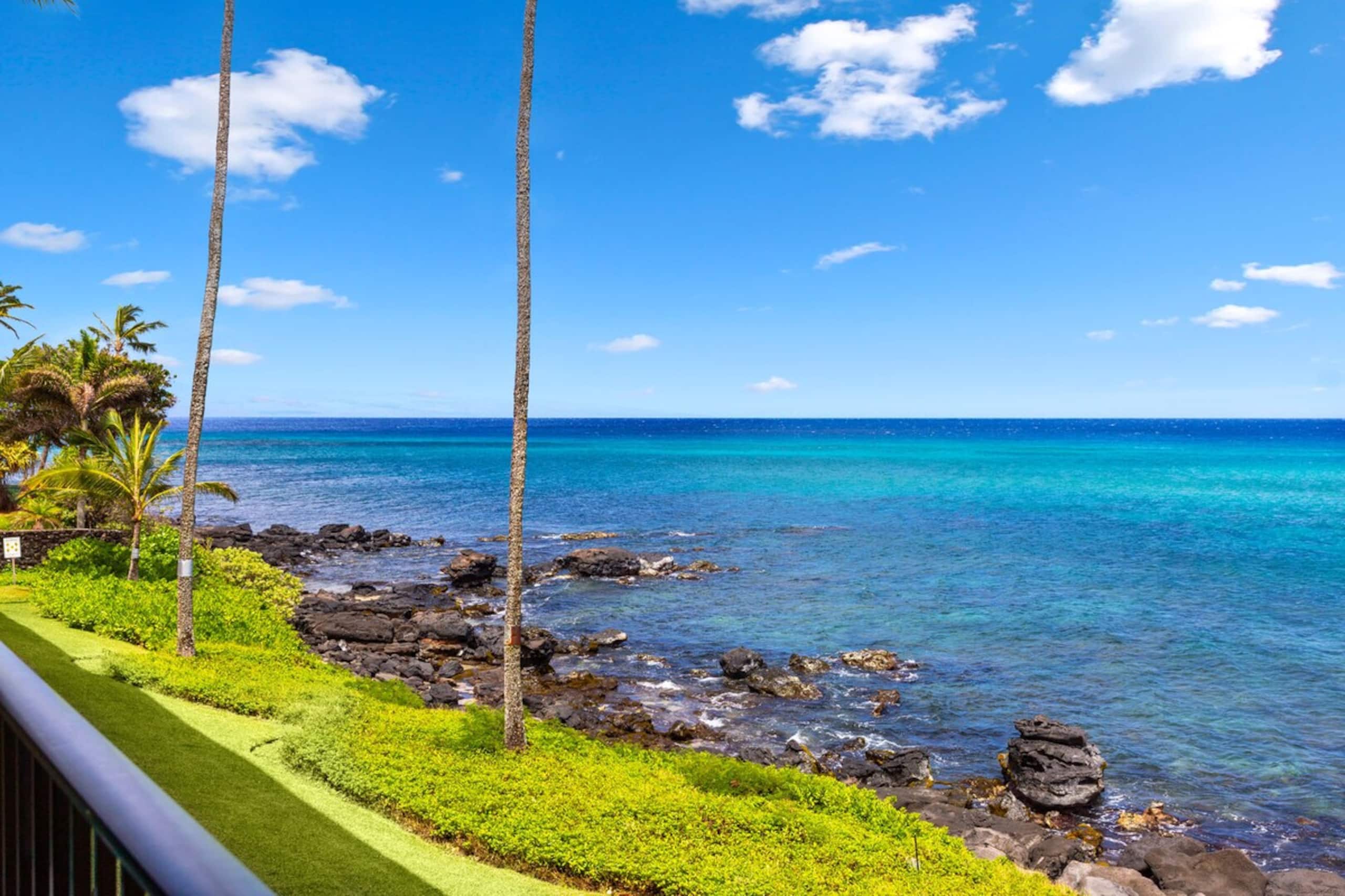 1bd Oceanfront gem with charm, views & Island vibe - Photo 47