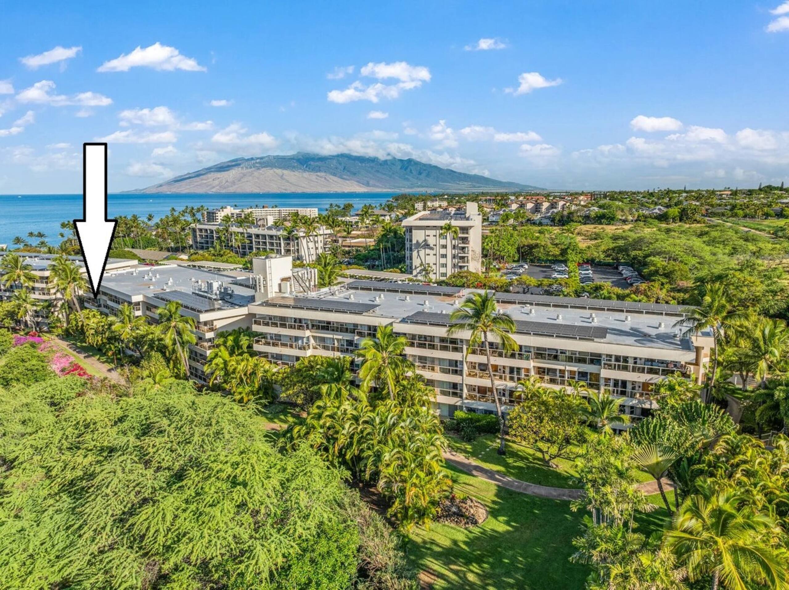 Maui Banyan P301 Updated 2BD Across Beach Pool AC - Photo 44