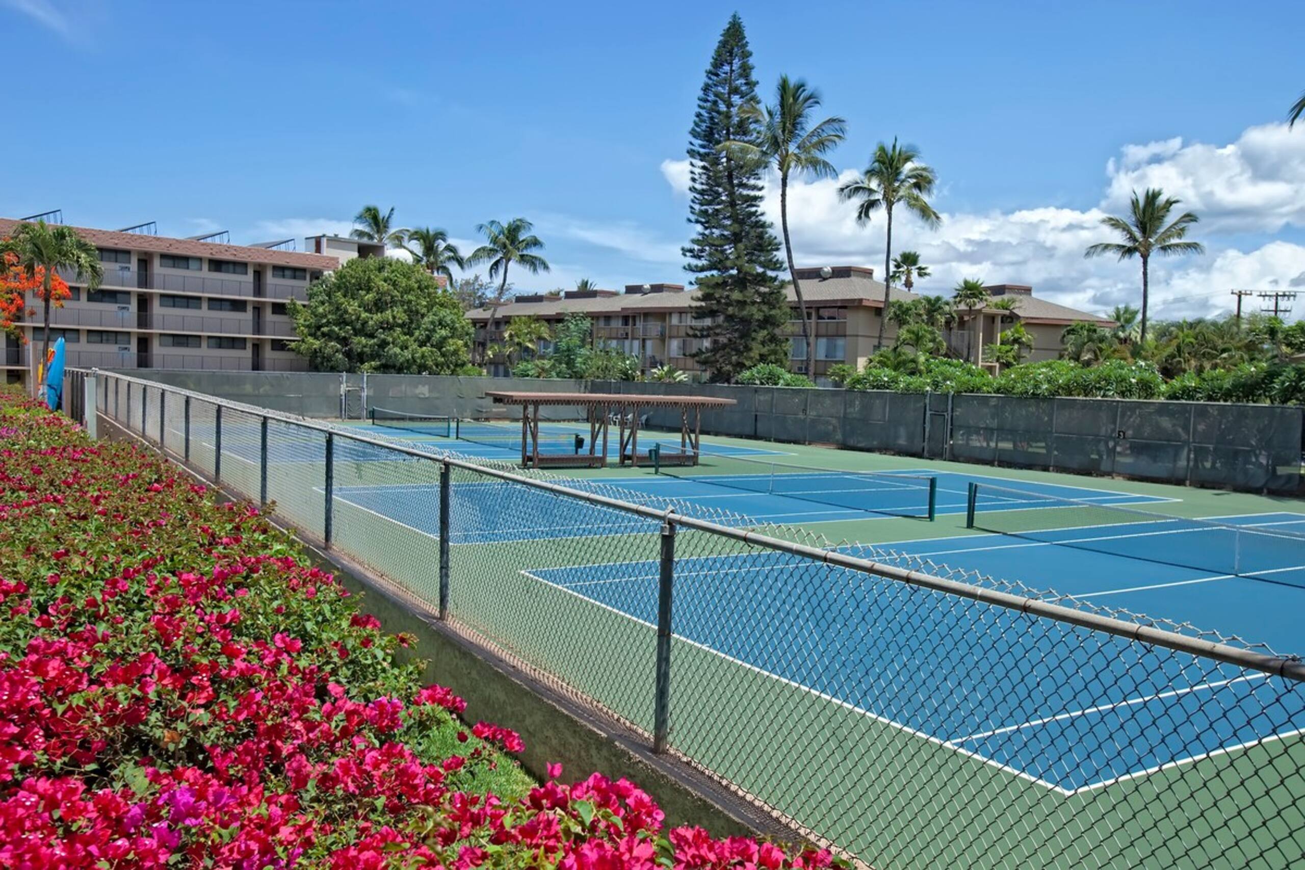 Part Oceanview Pool & Gym Access A/C KS3307 - Photo 4