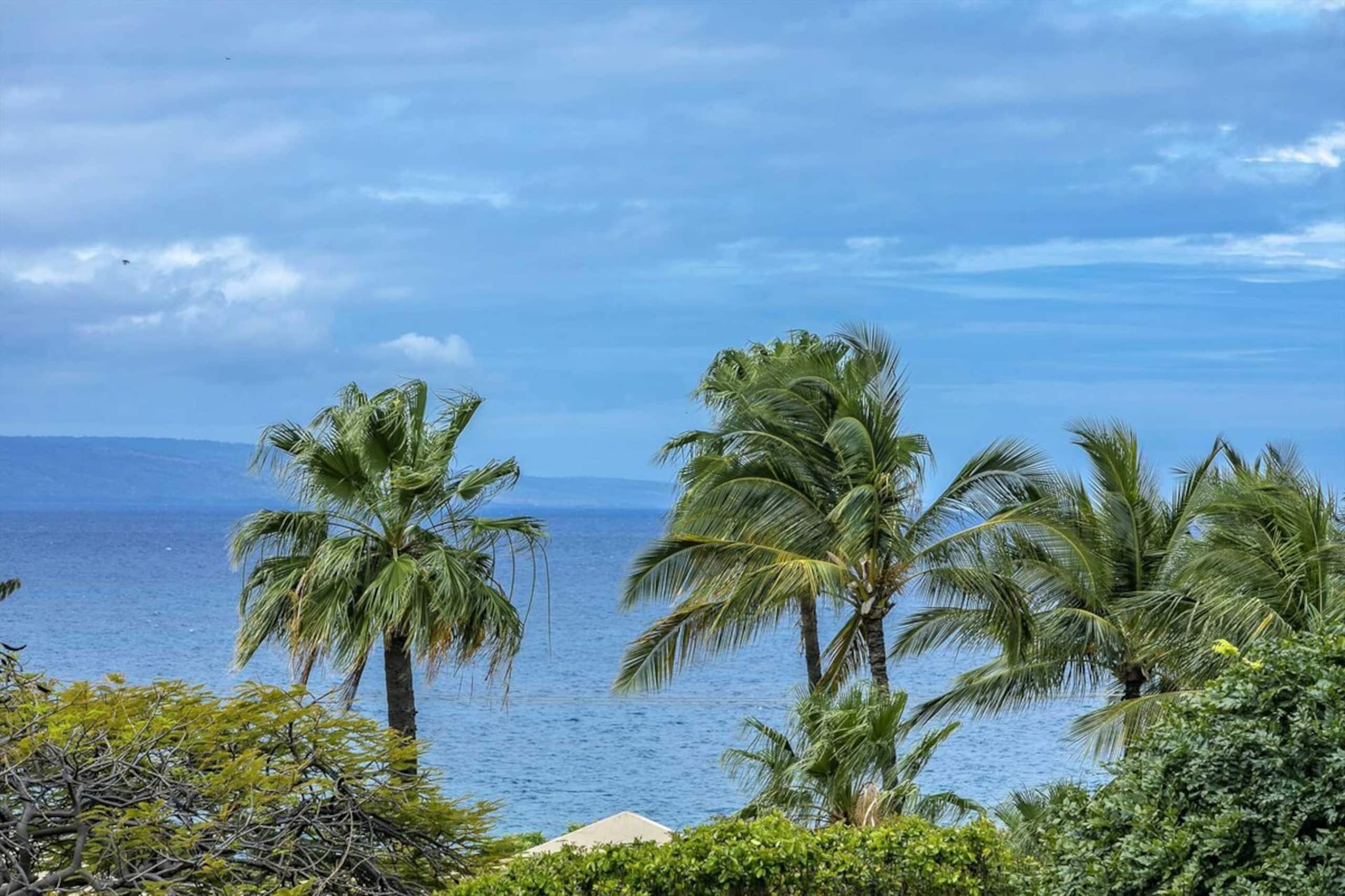 Kihei Akahi Resort - Unit C405 - Photo 4